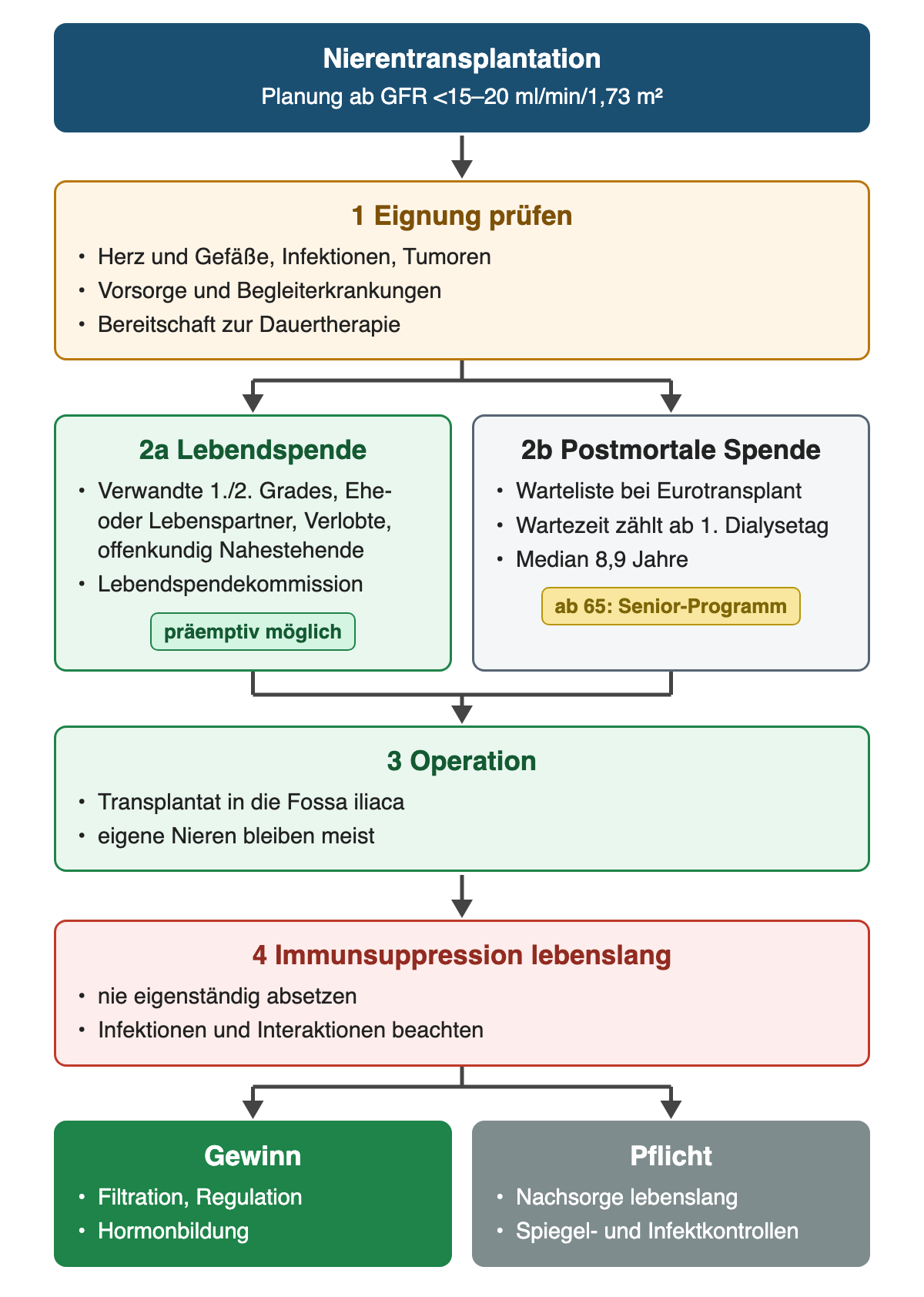 Weg zur Nierentransplantation: Eignungsprüfung, dann Lebendspende oder postmortale Spende mit Wartezeit, Operation in die Fossa iliaca und lebenslange Immunsuppression; unten Gewinn und Pflichten.
