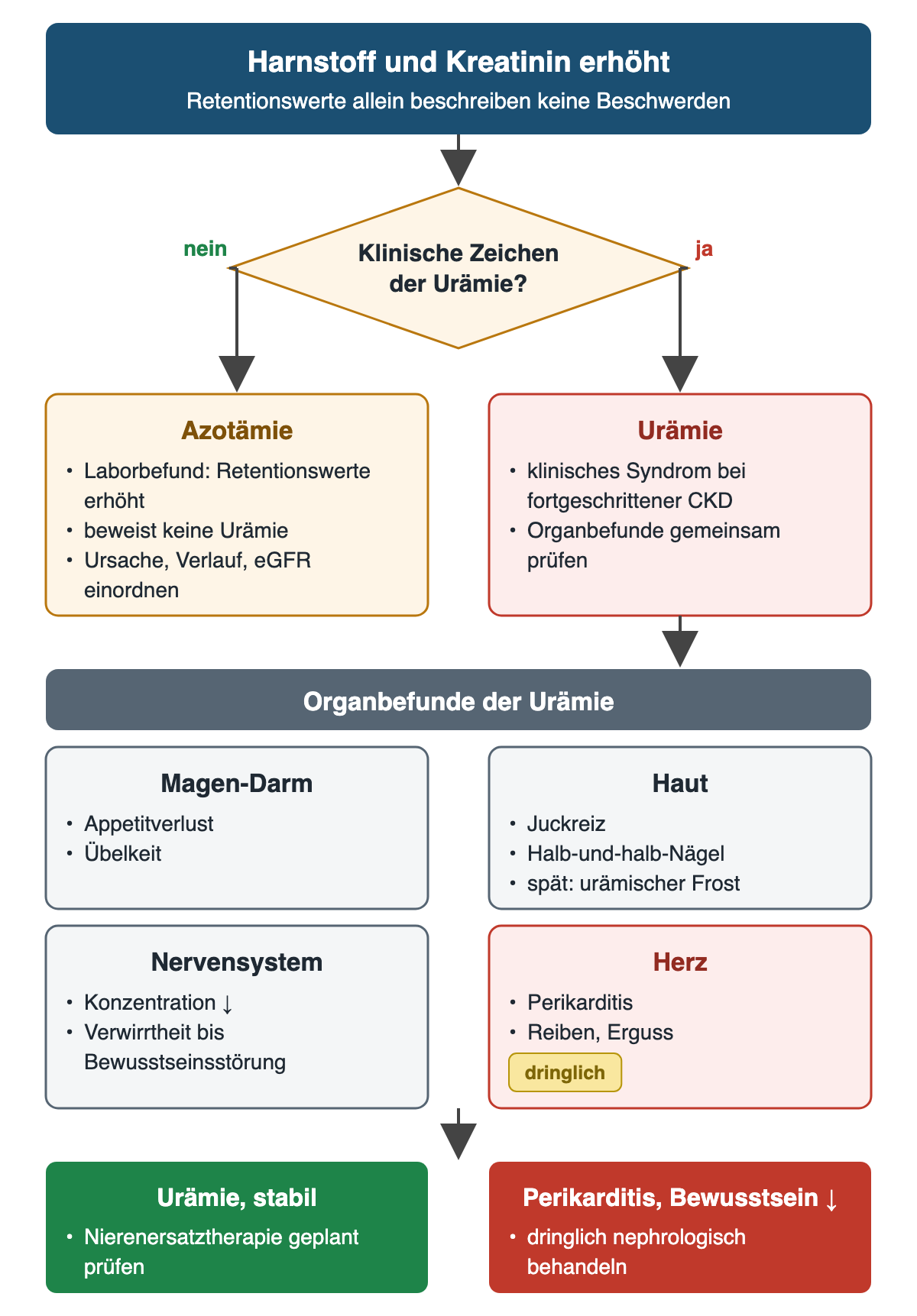 Von erhöhtem Harnstoff und Kreatinin über die Frage nach klinischen Zeichen zu Azotämie oder Urämie; Organbefunde an Magen-Darm, Haut, Nervensystem und Herz; unten stabile Urämie und dringliche Lage.