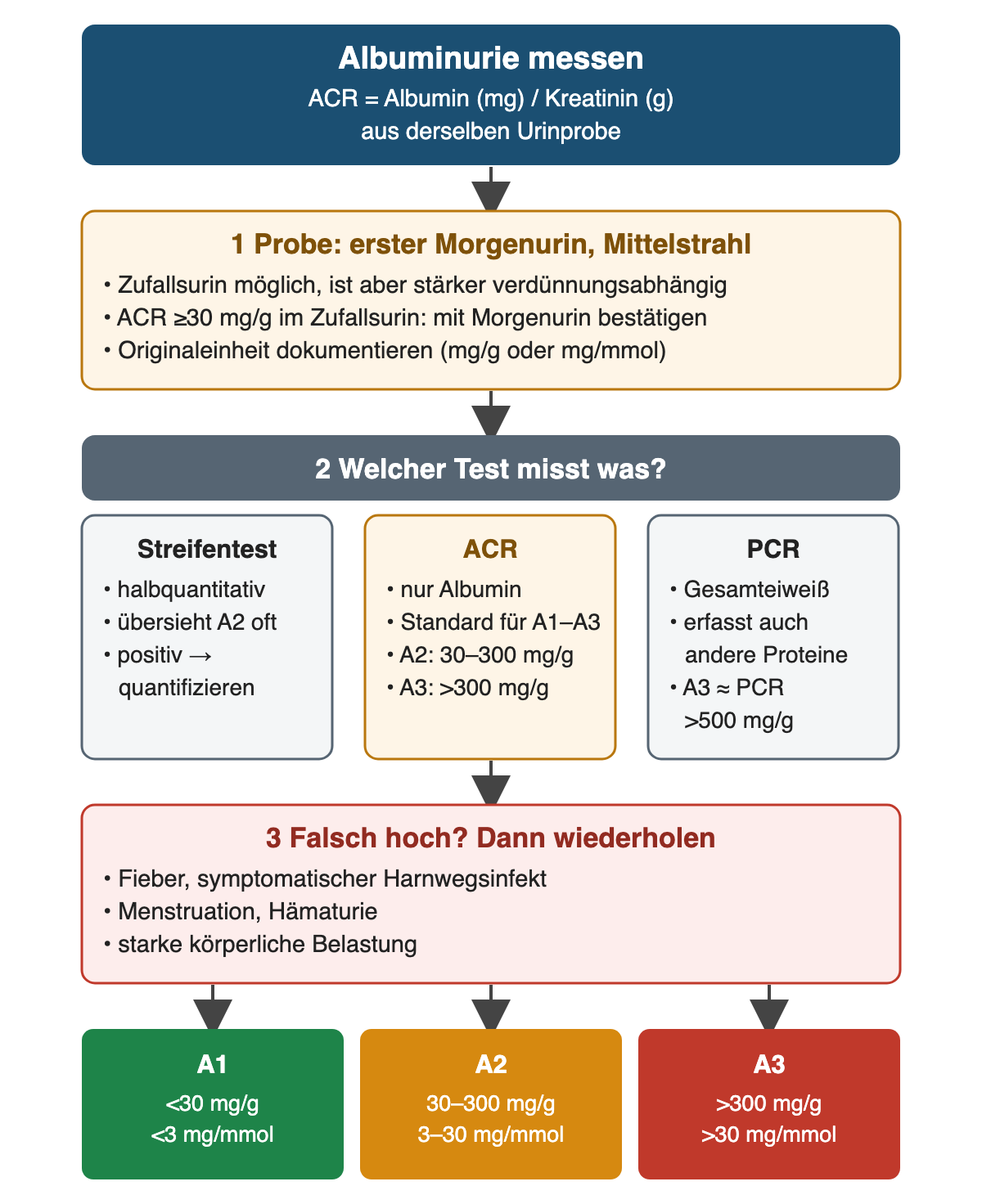Albuminurie messen: erster Morgenurin, Vergleich von Streifentest, ACR und PCR, typische Ursachen falsch hoher Werte und die drei A-Kategorien mit Grenzwerten in mg/g und mg/mmol.