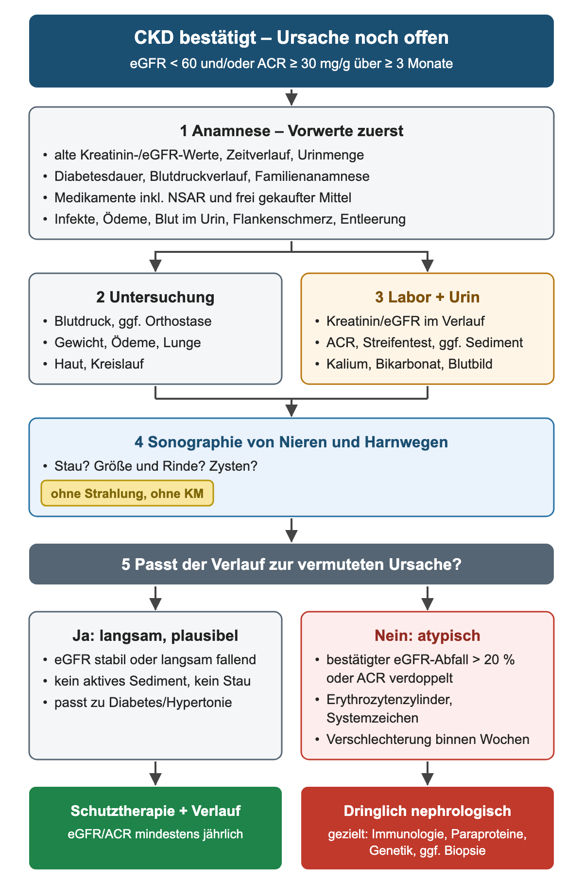 Ablauf in fünf Schritten von der bestätigten CKD über Anamnese, Untersuchung, Labor mit Urin und Sonographie zur Frage, ob der Verlauf passt; links langsamer plausibler Verlauf mit Schutztherapie, rechts atypische Befunde mit dringlicher nephrologischer Abklärung.