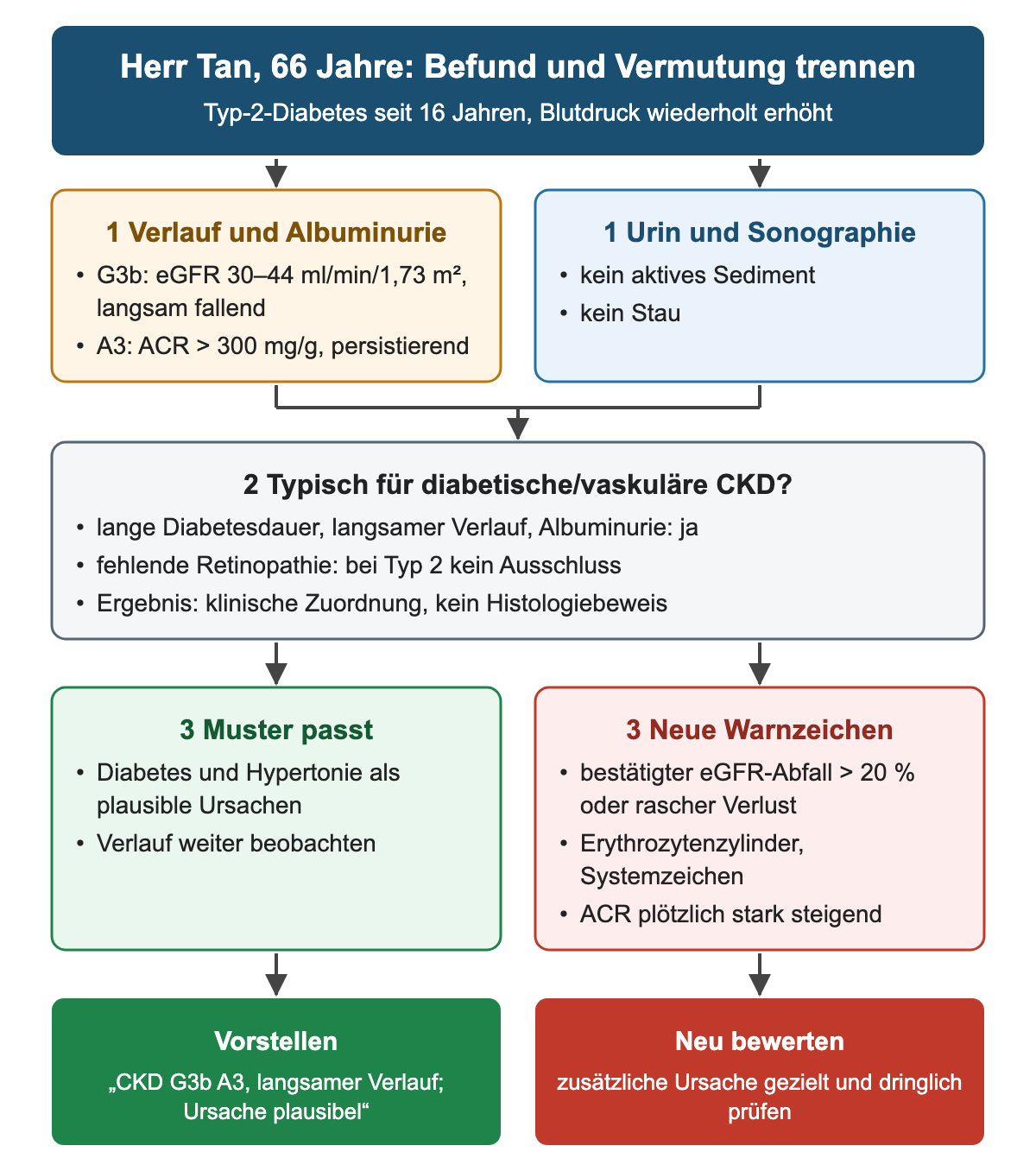 Bei Herrn Tan führen G3b mit langsam fallender eGFR, A3-Albuminurie, unauffälliges Sediment und fehlender Stau zur Prüfung des diabetisch-vaskulären Musters; links passt das Muster und wird vorgestellt, rechts führen neue Warnzeichen zur dringlichen Neubewertung.