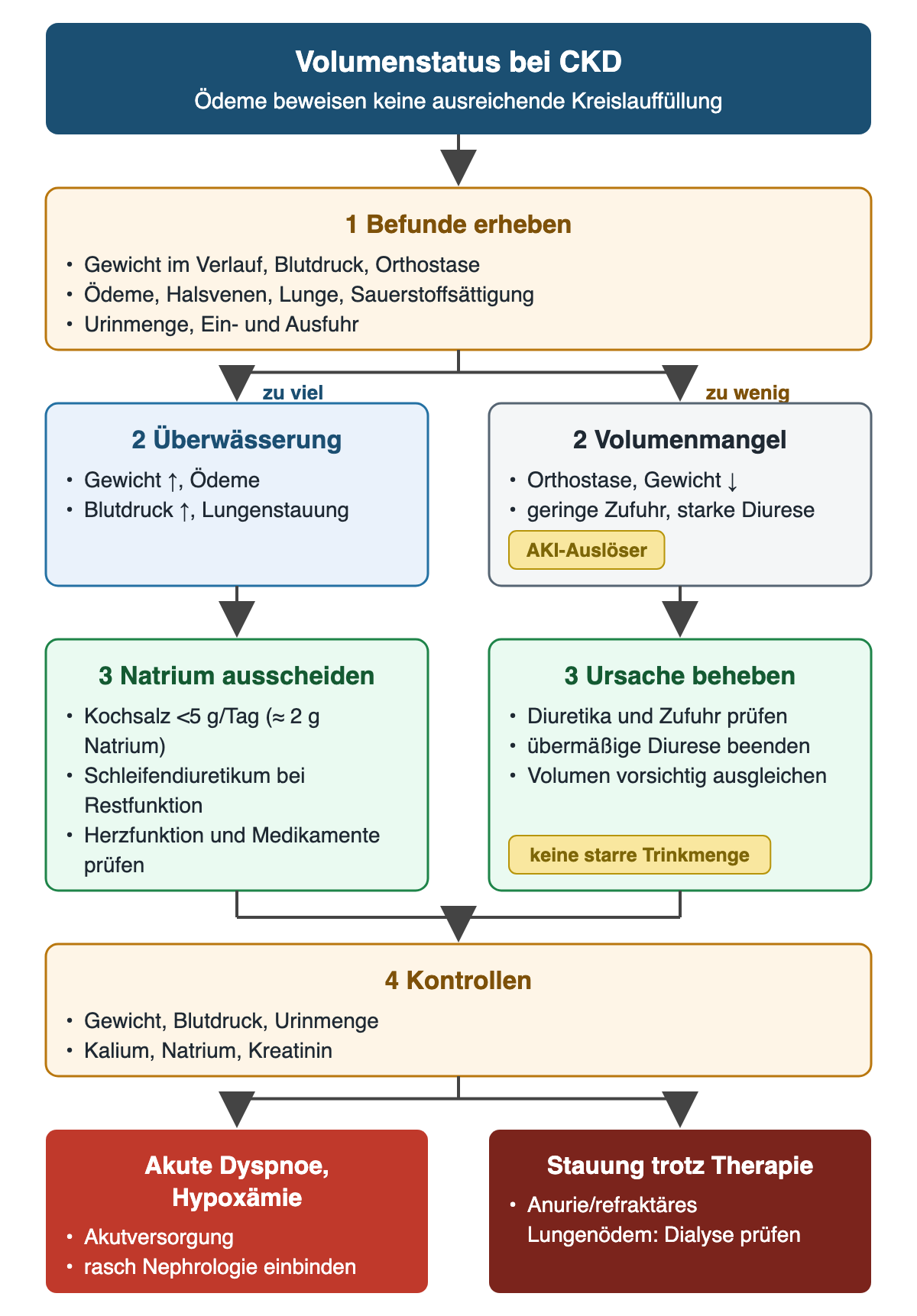 Von der Befunderhebung zu Überwässerung oder Volumenmangel, jeweils mit Behandlung, gemeinsamen Kontrollen und unten den dringlichen Lagen akute Dyspnoe und Stauung trotz Therapie.