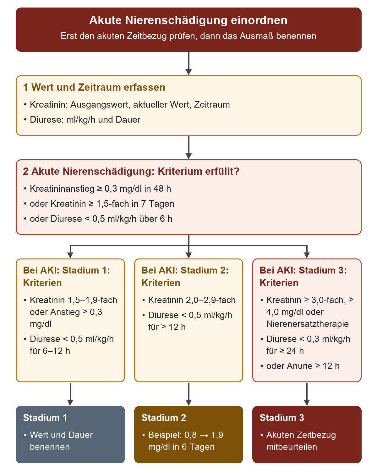 Zuerst werden Kreatininwerte mit Zeitraum und Diurese mit Dauer erfasst. Eine akute Nierenschädigung wird über einen Kreatininanstieg um mindestens 0,3 mg/dl in 48 Stunden, auf mindestens das 1,5-Fache in sieben Tagen oder über eine Diurese unter 0,5 ml/kg/h über sechs Stunden erkannt. Danach stehen die Kreatinin- und Diuresekriterien für Stadium 1, 2 und 3 nebeneinander; der akute Zeitbezug gilt als Voraussetzung der Einordnung.