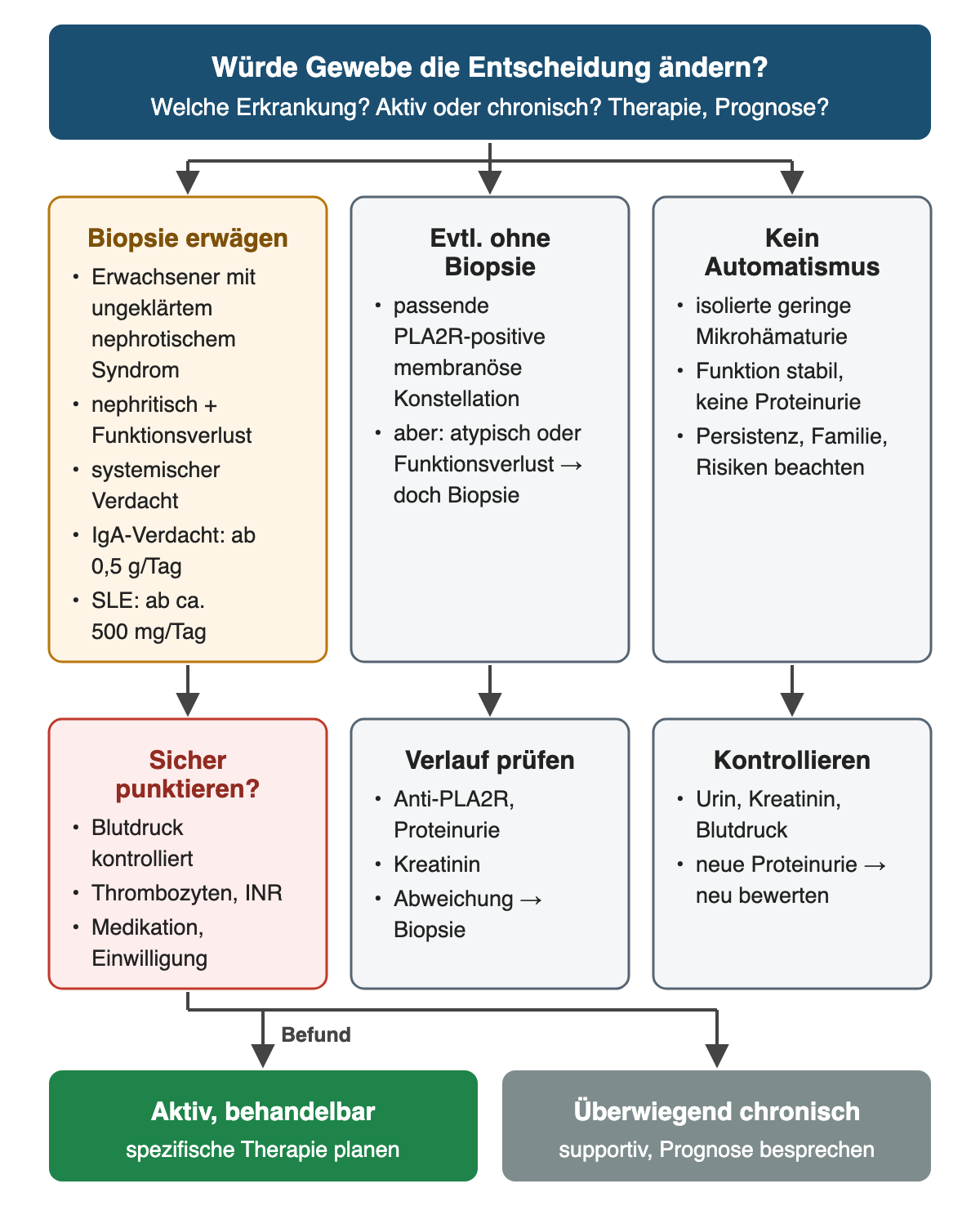 Leitfrage: Würde Gewebe die Entscheidung ändern? Drei Wege: Biopsie erwägen bei ungeklärtem nephrotischem Syndrom des Erwachsenen, nephritischem Muster mit Funktionsverlust, systemischem Verdacht, IgA-Verdacht ab 0,5 g pro Tag und SLE ab etwa 500 mg pro Tag, danach Sicherheit vor der Punktion prüfen. Eventuell ohne Biopsie bei passender PLA2R-positiver membranöser Konstellation, mit Verlaufskontrolle und Biopsie bei Abweichung. Kein Automatismus bei isolierter geringer Mikrohämaturie mit stabiler Funktion ohne Proteinurie, sondern Kontrolle. Der Befund unterscheidet aktive behandelbare von überwiegend chronischer Schädigung.