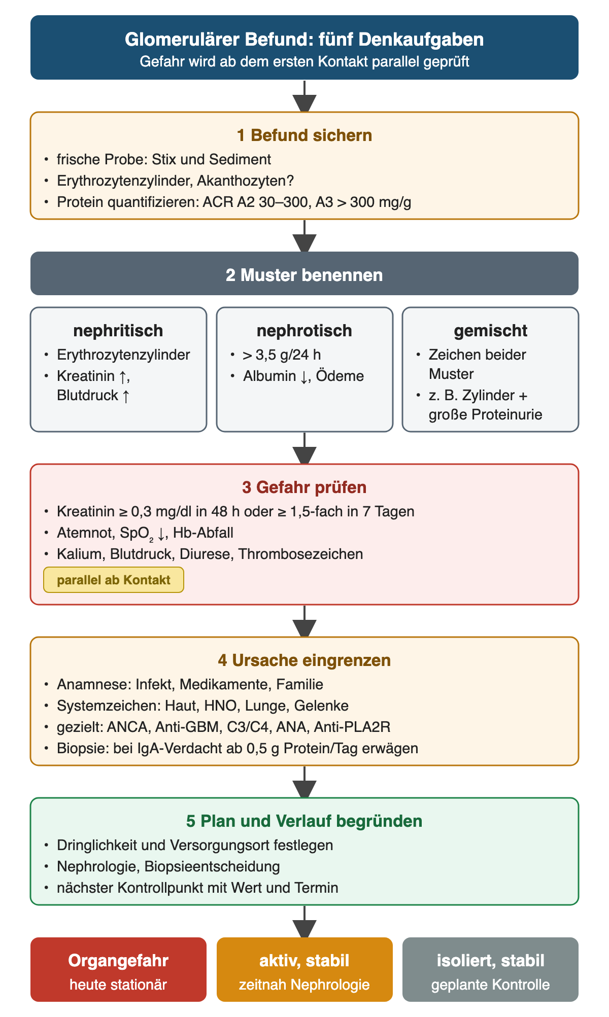 Fünf nummerierte Denkaufgaben untereinander: Befund sichern mit Stix, Sediment und ACR-Kategorien A2 30–300 und A3 über 300 mg/g; Muster benennen mit drei Kästen nephritisch, nephrotisch über 3,5 g pro 24 Stunden und gemischt; Gefahr prüfen mit Kreatininanstieg um mindestens 0,3 mg/dl in 48 Stunden oder auf das 1,5-Fache in 7 Tagen, Atemnot, Hb-Abfall, Kalium, Blutdruck, Diurese und Thrombosezeichen, parallel ab dem ersten Kontakt; Ursache eingrenzen mit Anamnese, Systemzeichen, gezielter Serologie und Biopsie bei IgA-Verdacht ab 0,5 g pro Tag; Plan und Verlauf begründen. Unten drei Ergebnisse: Organgefahr heute stationär, aktiv und stabil zeitnah Nephrologie, isoliert und stabil geplante Kontrolle.