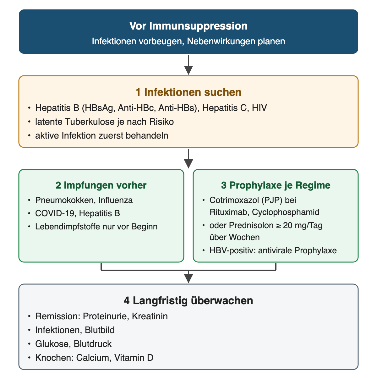 Vor Immunsuppression vier Schritte: 1 Infektionen suchen mit Hepatitis-B-Serologie aus HBsAg, Anti-HBc und Anti-HBs, Hepatitis C, HIV und je nach Risiko latenter Tuberkulose, aktive Infektionen zuerst behandeln; 2 Impfungen gegen Pneumokokken, Influenza, COVID-19 und Hepatitis B vorher, Lebendimpfstoffe nur vor Beginn; 3 Prophylaxe je nach Regime: Cotrimoxazol gegen Pneumocystis bei Rituximab, Cyclophosphamid oder Prednisolon ab 20 mg pro Tag über Wochen, antivirale Prophylaxe bei positiver HBV-Serologie; 4 langfristig Remission, Infektionen, Blutbild, Glukose, Blutdruck sowie Knochen mit Calcium und Vitamin D überwachen.