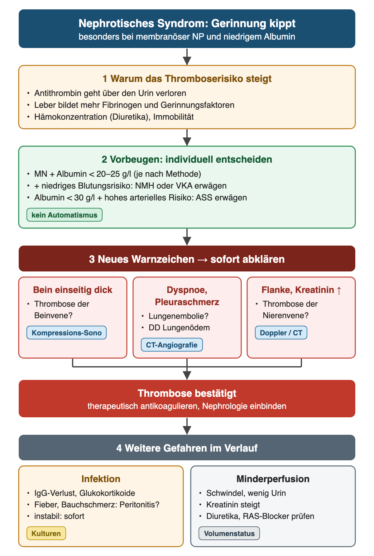 Nephrotisches Syndrom und Gerinnung. Schritt 1 Mechanismus: Antithrombinverlust im Urin, vermehrte Fibrinogenbildung der Leber, Hämokonzentration und Immobilität. Schritt 2 Prophylaxe individuell: bei membranöser Nephropathie und Albumin unter 20 bis 25 g/l plus niedrigem Blutungsrisiko niedermolekulares Heparin oder Vitamin-K-Antagonist erwägen, bei Albumin unter 30 g/l und hohem arteriellem Risiko ASS erwägen. Schritt 3 Warnzeichen mit sofortiger Abklärung: einseitige Beinschwellung mit Kompressionssonografie, Dyspnoe oder Pleuraschmerz mit CT-Angiografie, Flankenschmerz und Kreatininanstieg mit Doppler oder CT; bestätigte Thrombose therapeutisch antikoagulieren. Schritt 4 weitere Gefahren: Infektion und Minderperfusion.