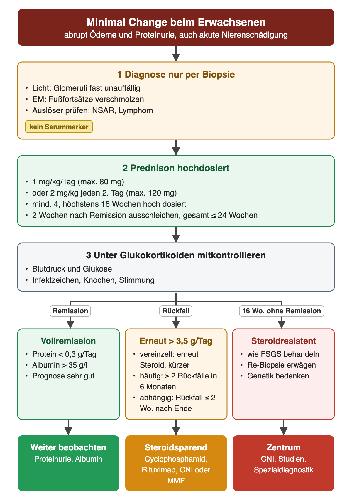 Ablauf bei Minimal Change: Biopsie mit fast normaler Lichtmikroskopie und verschmolzenen Fußfortsätzen, Prednison 1 mg/kg/Tag bis maximal 80 mg für 4 bis 16 Wochen mit Ausschleichen bis 24 Wochen, Kontrolle von Blutdruck, Glukose und Infekten. Drei Wege: Vollremission mit Protein unter 0,3 g/Tag; Rückfall über 3,5 g/Tag mit steroidsparender Behandlung bei häufigen Rückfällen oder Steroidabhängigkeit; Steroidresistenz nach 16 Wochen mit Vorgehen wie bei FSGS und Zentrumsanbindung.