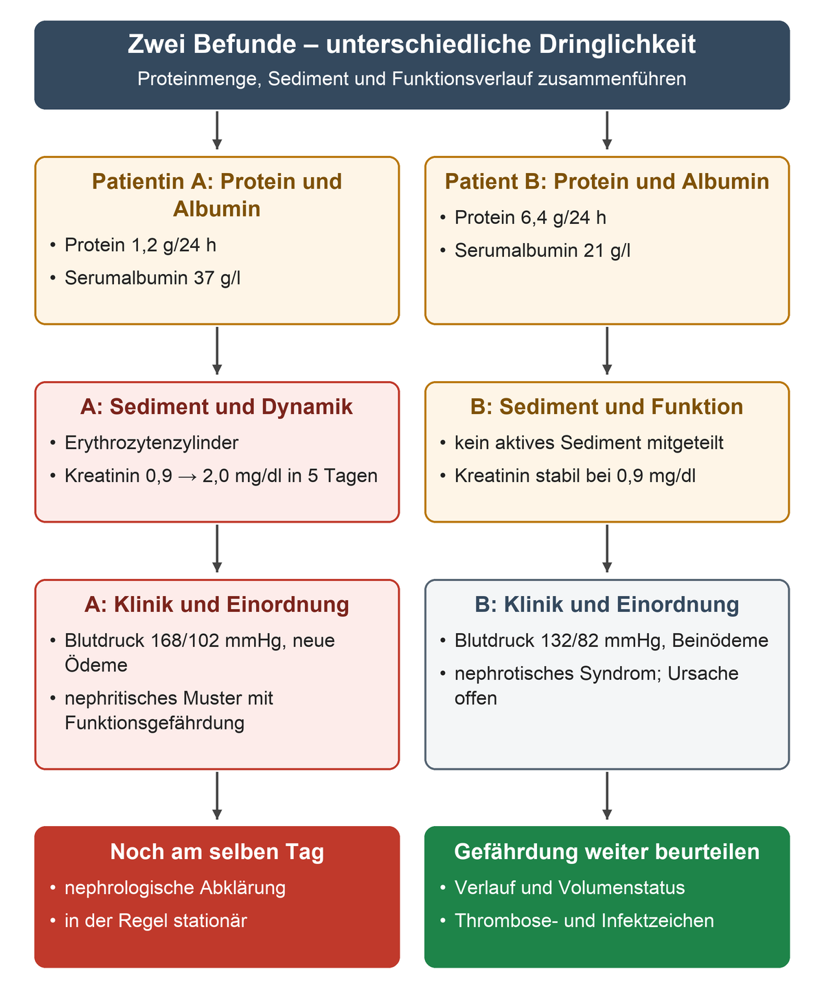 Links führen Erythrozytenzylinder und ein Kreatininanstieg innerhalb von fünf Tagen zur Abklärung am selben Tag; rechts werden beim nephrotischen Syndrom zusätzliche Gefahren geprüft.