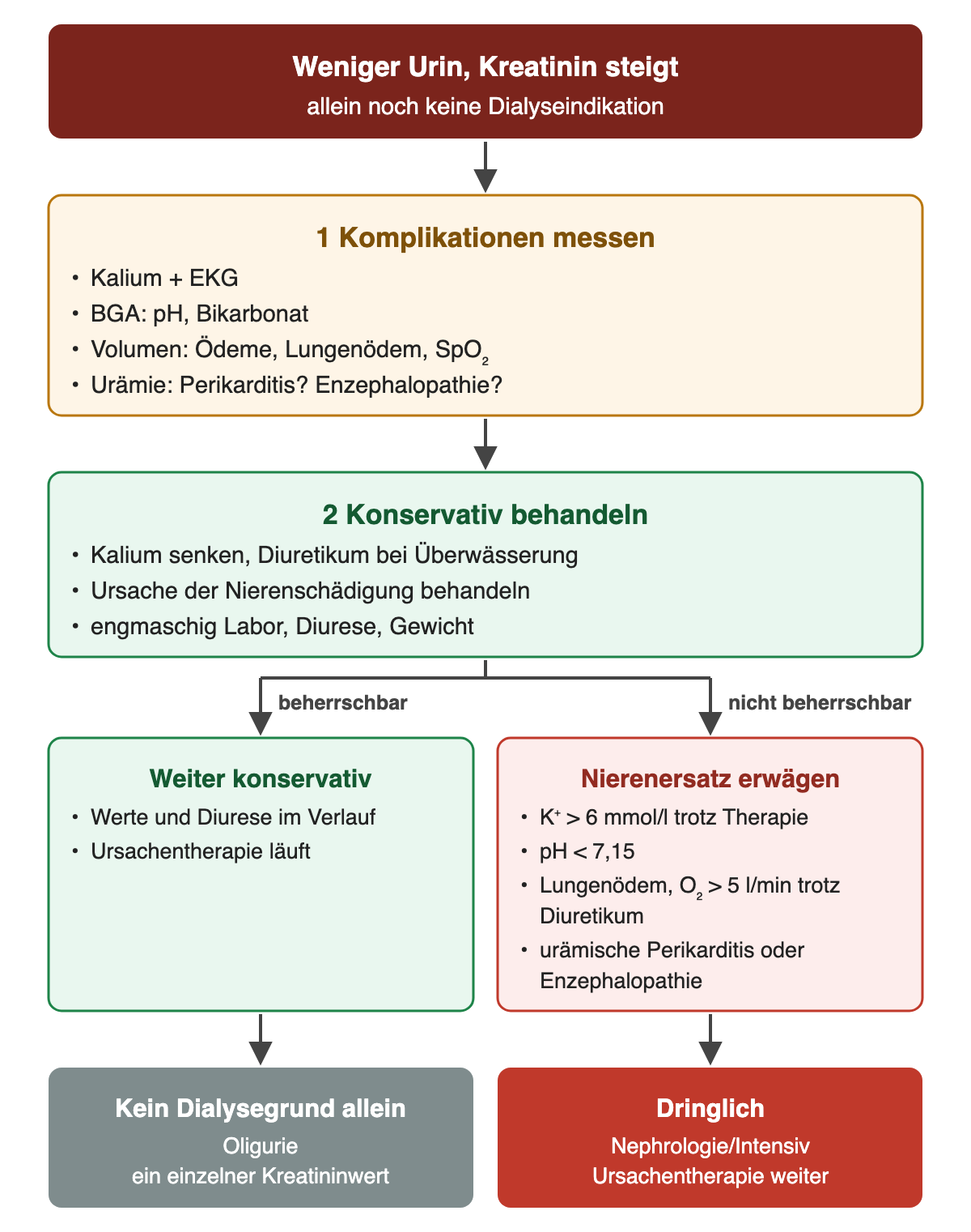 Bei weniger Urin und steigendem Kreatinin werden zuerst Kalium mit EKG, Blutgasanalyse, Volumenstatus und urämische Zeichen geprüft und konservativ behandelt. Sind die Komplikationen beherrschbar, geht es konservativ weiter. Sind sie nicht beherrschbar, etwa Kalium über 6 mmol/l trotz Therapie, pH unter 7,15, Lungenödem mit über 5 l/min Sauerstoff trotz Diuretikum oder urämische Perikarditis beziehungsweise Enzephalopathie, wird eine Nierenersatztherapie dringlich erwogen. Oligurie oder ein einzelner Kreatininwert allein sind kein Dialysegrund.