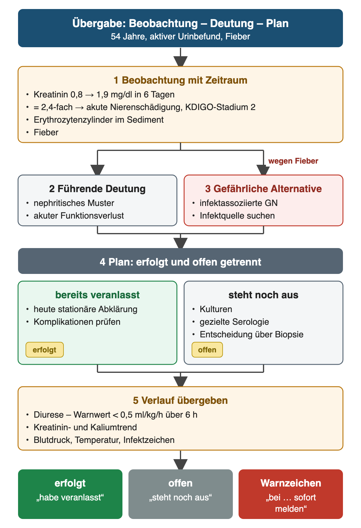 Fünf nummerierte Schritte: Beobachtung mit Zeitraum – Kreatinin 0,8 → 1,9 mg/dl in 6 Tagen, das 2,4-Fache und damit KDIGO-Stadium 2, Erythrozytenzylinder und Fieber. Daraus links die führende Deutung nephritisches Muster mit akutem Funktionsverlust, rechts wegen Fieber die gefährliche Alternative infektassoziierte GN. Der Plan trennt bereits Veranlasstes (heute stationäre Abklärung, Komplikationen prüfen) von noch Ausstehendem (Kulturen, gezielte Serologie, Biopsieentscheidung). Danach Verlauf mit Diurese-Warnwert unter 0,5 ml/kg/h über 6 Stunden, Kreatinin- und Kaliumtrend, Blutdruck und Infektzeichen. Unten drei Formulierungen: erfolgt, offen und Warnzeichen.
