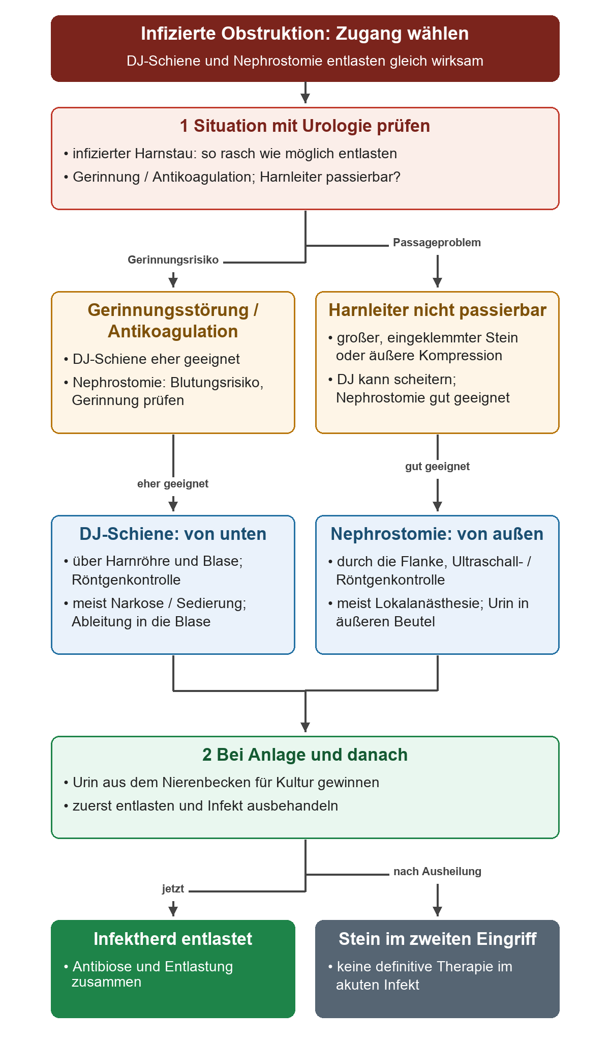 Gerinnungsrisiko und fehlende Harnleiterpassage führen zur Auswahl zwischen DJ-Schiene und perkutaner Nephrostomie; beide münden in Kulturgewinnung und Entlastung vor der späteren Steinbehandlung.