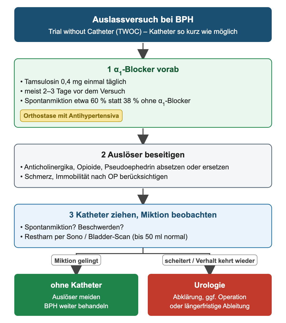 Auslassversuch in drei Schritten: α1-Blocker Tamsulosin 0,4 mg für 2–3 Tage mit Erfolgsrate etwa 60 statt 38 Prozent, Auslöser beseitigen, Katheter ziehen und Restharn messen; Verzweigung zu ohne Katheter oder Urologie