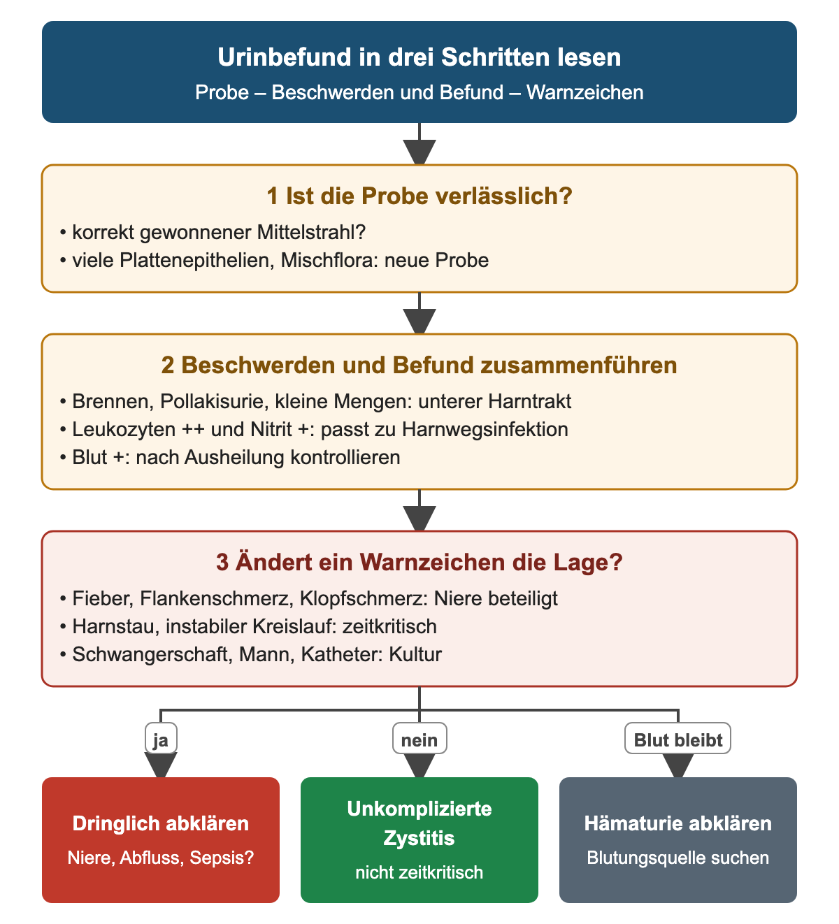 Drei Schritte zum Lesen eines Urinbefunds: Probe verlässlich, Beschwerden und Befund zusammenführen, Warnzeichen prüfen; unten drei Ausgänge – dringlich abklären, unkomplizierte Zystitis oder Hämaturie abklären