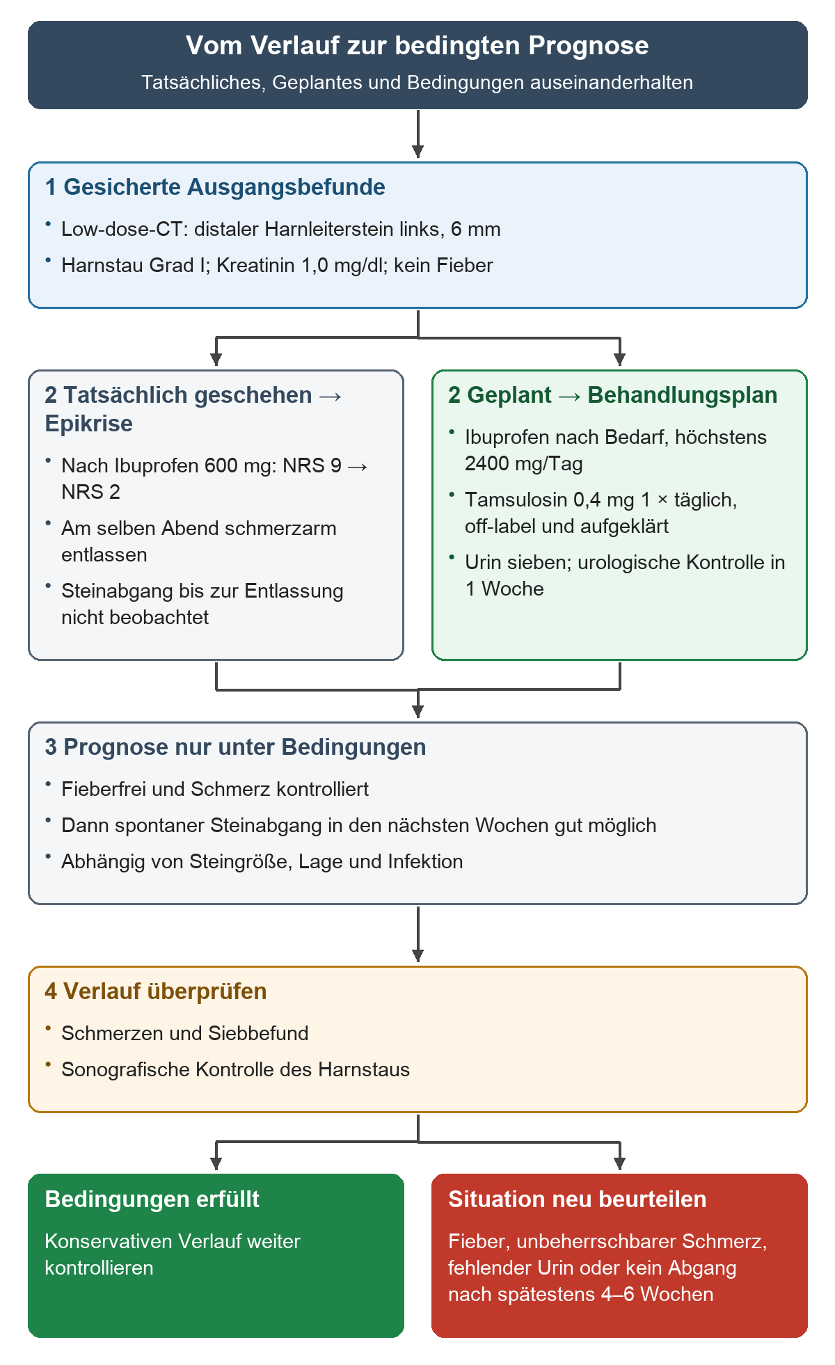 Der dokumentierte Kolikverlauf wird in tatsächlich geschehene Behandlung für die Epikrise und geplante Maßnahmen aufgeteilt. Die Prognose gilt nur bei Fieberfreiheit und Schmerzkontrolle; Verlaufskontrolle und Warnzeichen führen zur Fortführung oder erneuten Beurteilung.