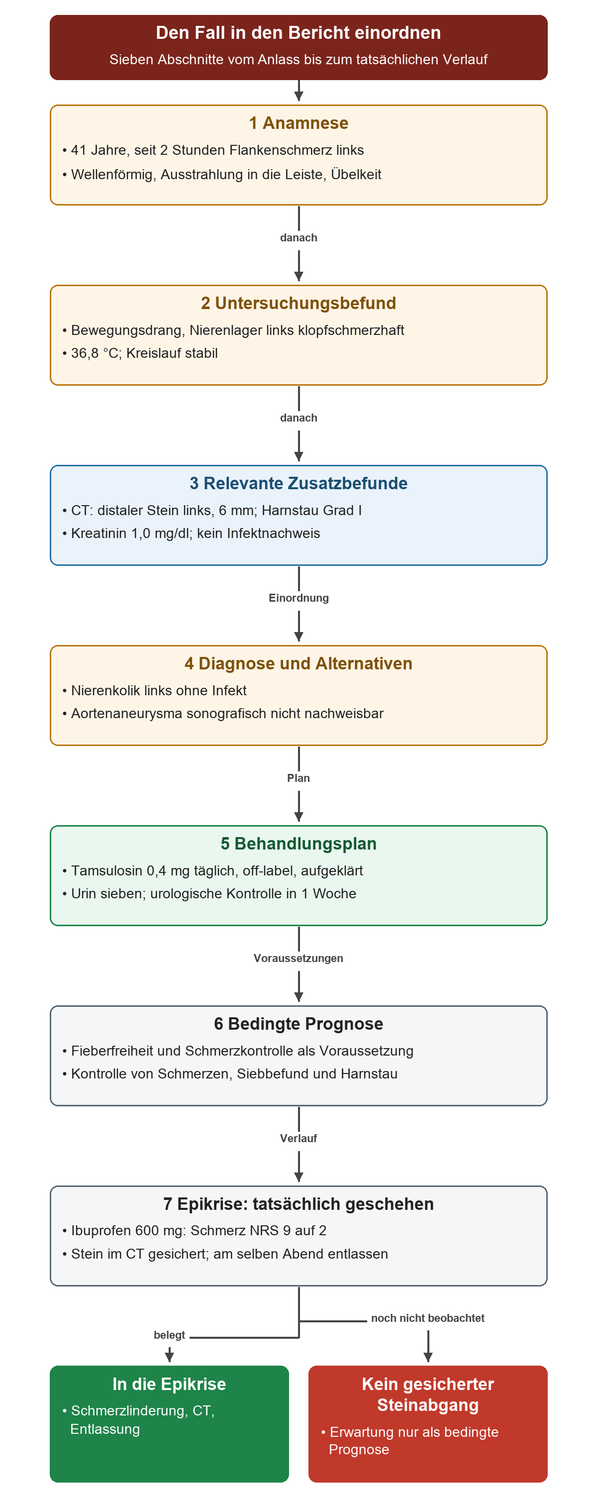 Die sieben Abschnitte des Berichts werden mit den konkreten Angaben von Herrn Brandt gefüllt; zuletzt trennt der Weg dokumentierte Schmerzlinderung, CT und Entlassung vom noch nicht beobachteten Steinabgang.