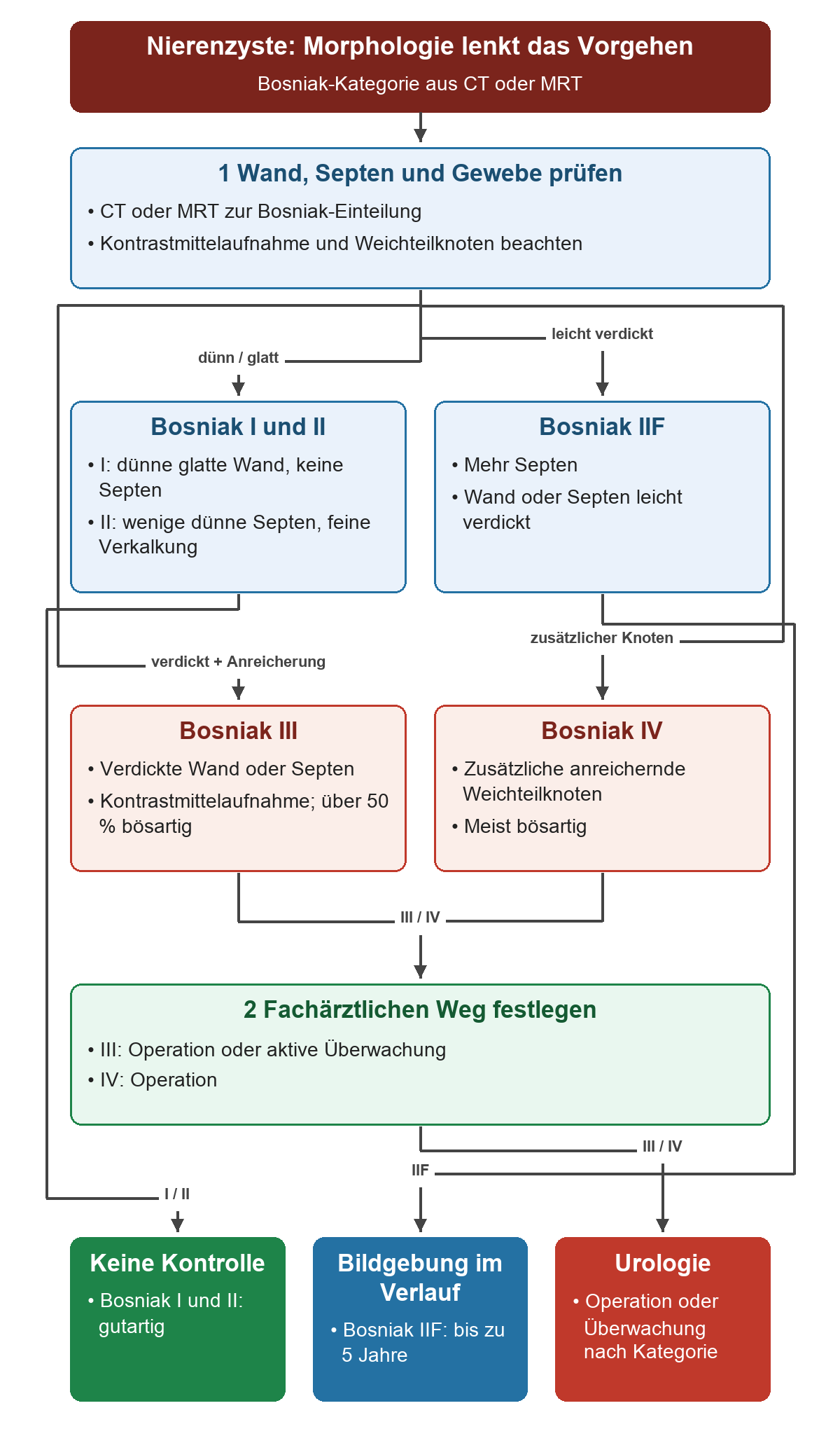 CT oder MRT prüfen Wand, Septen und Weichteilknoten; Bosniak I und II benötigen keine Kontrolle, IIF eine Bildgebung bis zu fünf Jahre, III und IV eine urologische Therapieentscheidung.