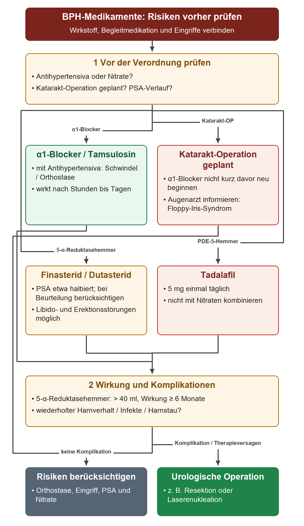 Vor BPH-Medikamenten werden Begleitmedikation, Kataraktoperation und PSA geprüft; anschließend führen Wirkeintritt und Komplikationen zur weiteren medikamentösen Beurteilung oder urologischen Operation.