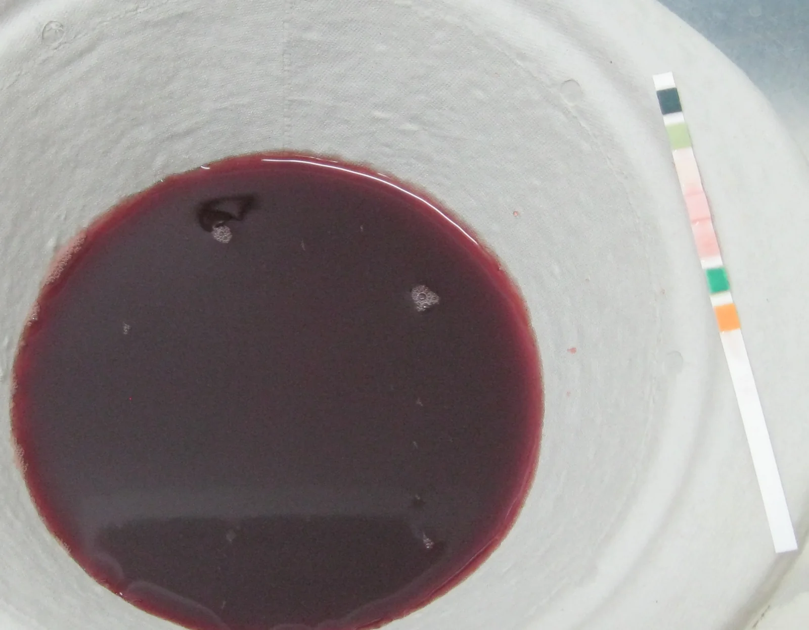 Schale mit dunkelrotem Urin, daneben ein Urinteststreifen