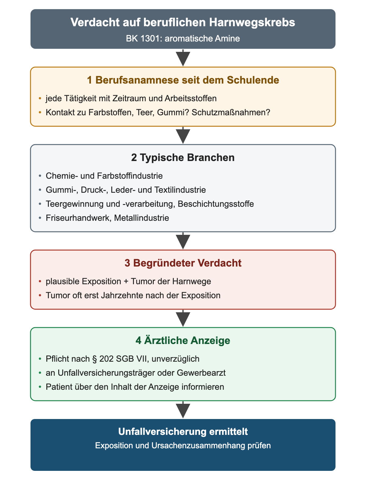 Flussdiagramm in vier Schritten: Berufsanamnese seit dem Schulende, typische Branchen, begründeter Verdacht, ärztliche Anzeige nach § 202 SGB VII; am Ende ermittelt die Unfallversicherung.