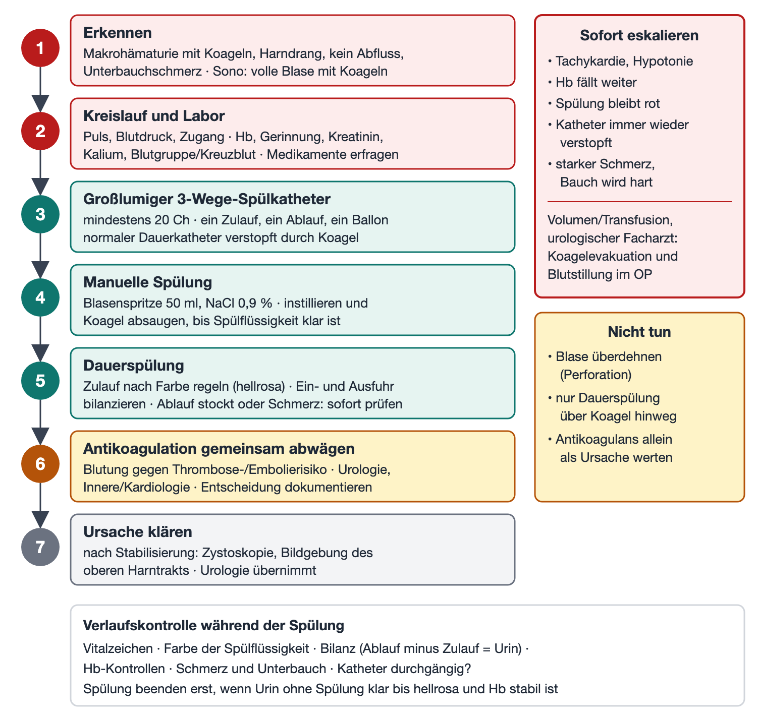 Ablaufgrafik in sieben Schritten von Erkennen über Kreislauf, Spülkatheter, manuelle Spülung und Dauerspülung bis zur Ursachenklärung, rechts Eskalationszeichen