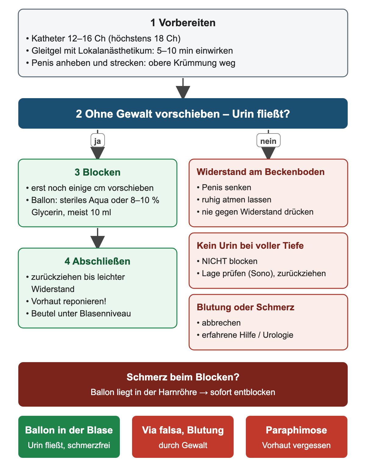 Entscheidungsweg bei der Katheteranlage: Vorbereitung mit Kathetergröße und Einwirkzeit des Gels, dann Frage ob Urin fließt; bei ja blocken und abschließen, bei nein drei Problemkästen Widerstand, kein Urin, Blutung oder Schmerz; unten Schmerz beim Blocken und drei Ergebnisse
