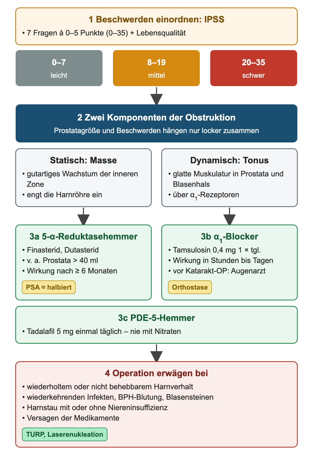 BPH vom IPSS mit den Stufen 0–7, 8–19 und 20–35 über die statische und dynamische Komponente zu 5-α-Reduktasehemmer, α1-Blocker und PDE-5-Hemmer mit Dosis und Wirkbeginn, unten Indikationen für eine Operation