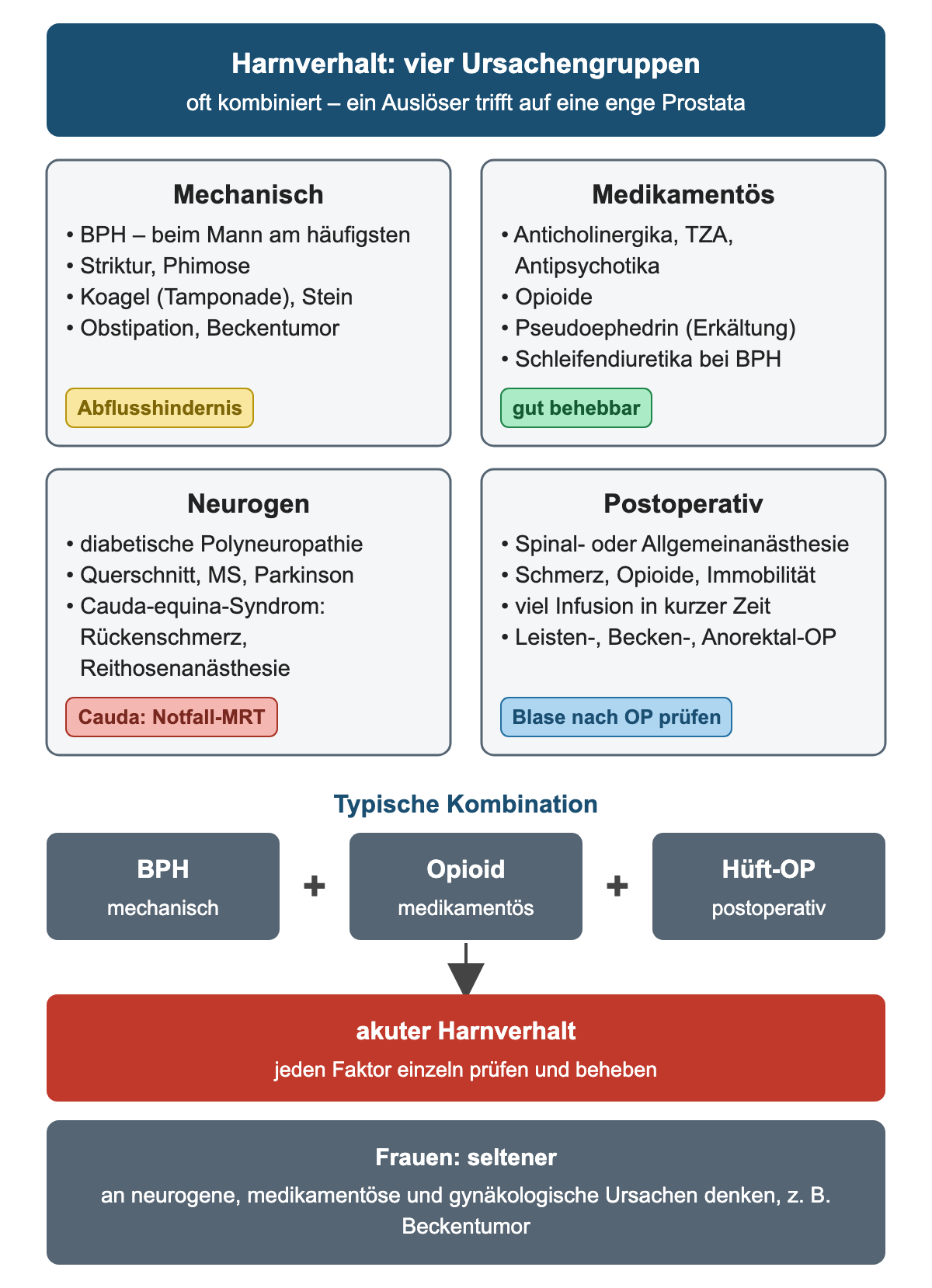 Vier Ursachengruppen des Harnverhalts als Kästen mit Beispielen und Kennzeichnungen, darunter die typische Kombination BPH plus Opioid plus Hüftoperation, die zum akuten Harnverhalt führt, und ein Hinweis zu Ursachen bei Frauen