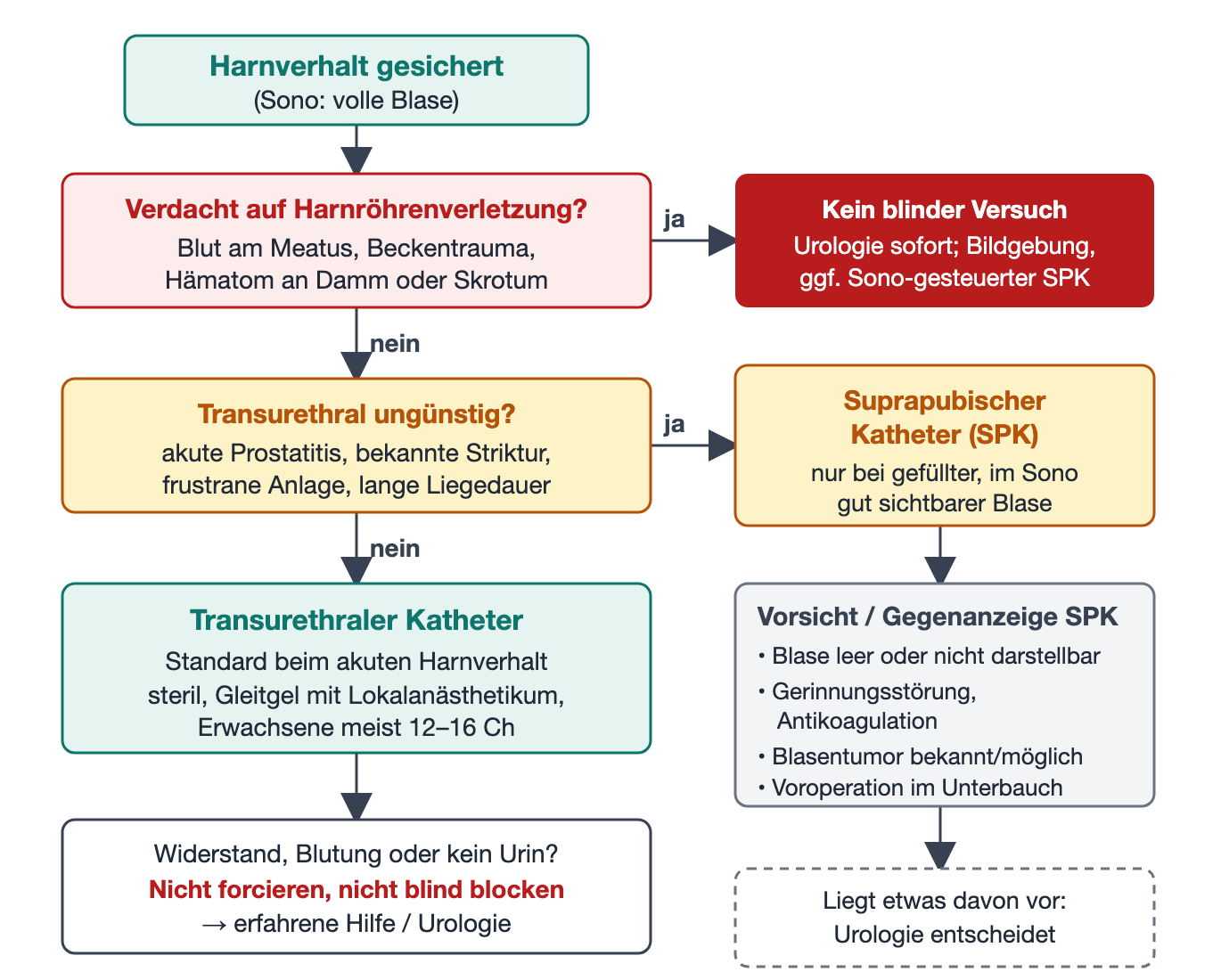 Entscheidungsfluss transurethraler oder suprapubischer Katheter mit Gegenanzeigen