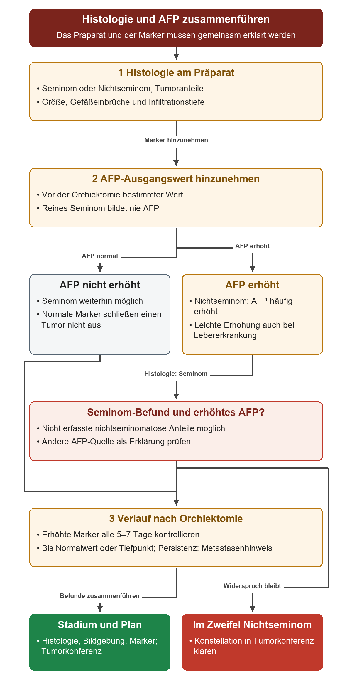 Histologie und präoperatives AFP werden gemeinsam gelesen; erhöhte AFP-Werte bei Seminom-Befund verlangen die Prüfung nichtseminomatöser Anteile oder anderer Quellen, anschließend werden Markerverlauf, Stadium und Therapie in der Tumorkonferenz zusammengeführt.