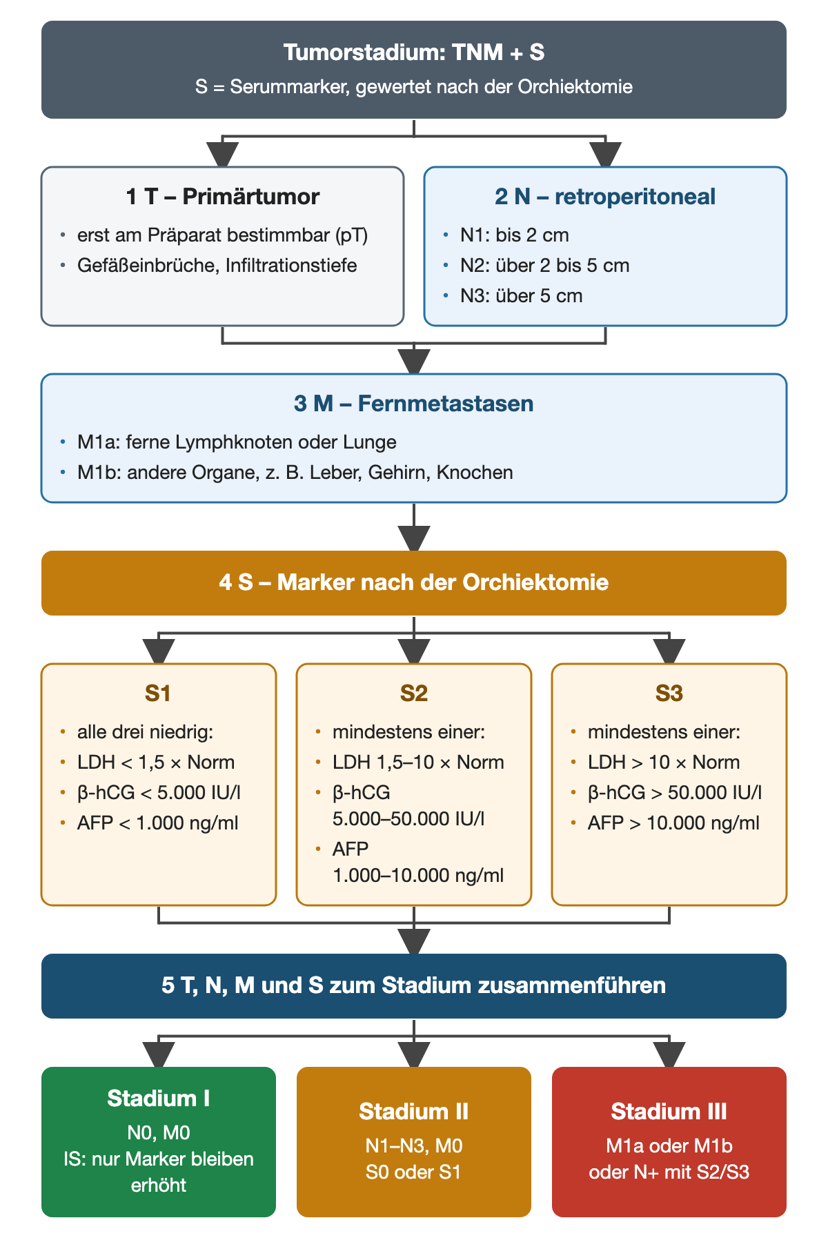 Schema der Stadieneinteilung: T am Präparat, N nach Lymphknotengröße bis 2 cm, über 2 bis 5 cm und über 5 cm, M1a und M1b, darunter die Markerkategorien S1 bis S3 mit Grenzwerten für LDH, β-hCG und AFP; unten Stadium I, II und III