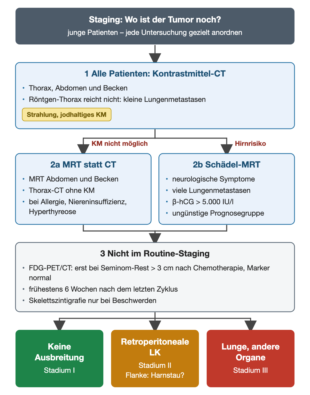 Nummeriertes Schema der Staging-Bildgebung: Kontrastmittel-CT von Thorax, Abdomen und Becken für alle, bei Kontrastmittelverbot MRT plus natives Thorax-CT, bei Hirnrisiko Schädel-MRT, PET/CT und Skelettszintigrafie nicht routinemäßig; unten keine Ausbreitung, retroperitoneale Lymphknoten oder Lunge und andere Organe