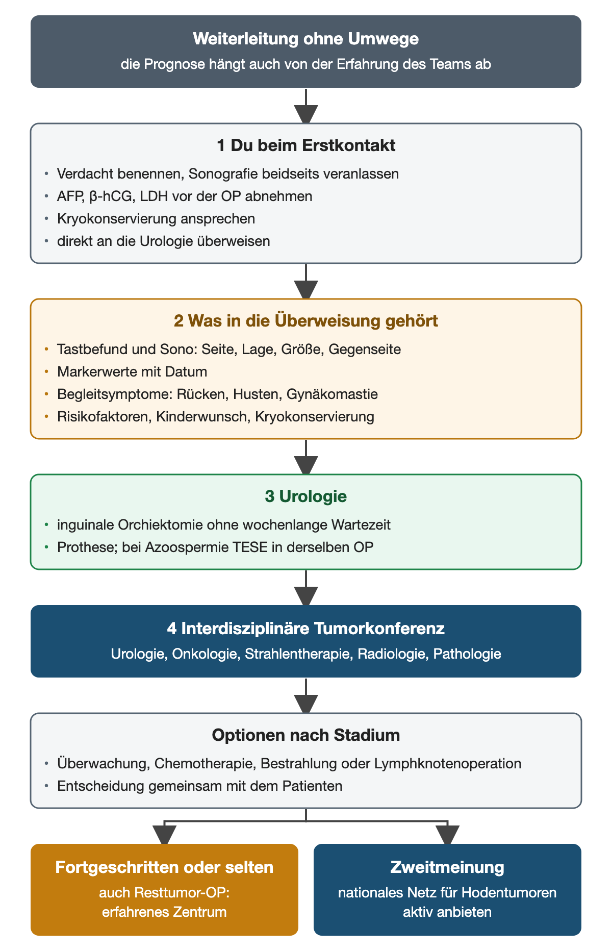 Nummerierter Weiterleitungspfad: Erstkontakt mit Verdacht, Markern, Kryokonservierung und Überweisung, Inhalt der Überweisung, Urologie mit zügiger Orchiektomie, interdisziplinäre Tumorkonferenz, Optionen nach Stadium; unten erfahrenes Zentrum und Zweitmeinung