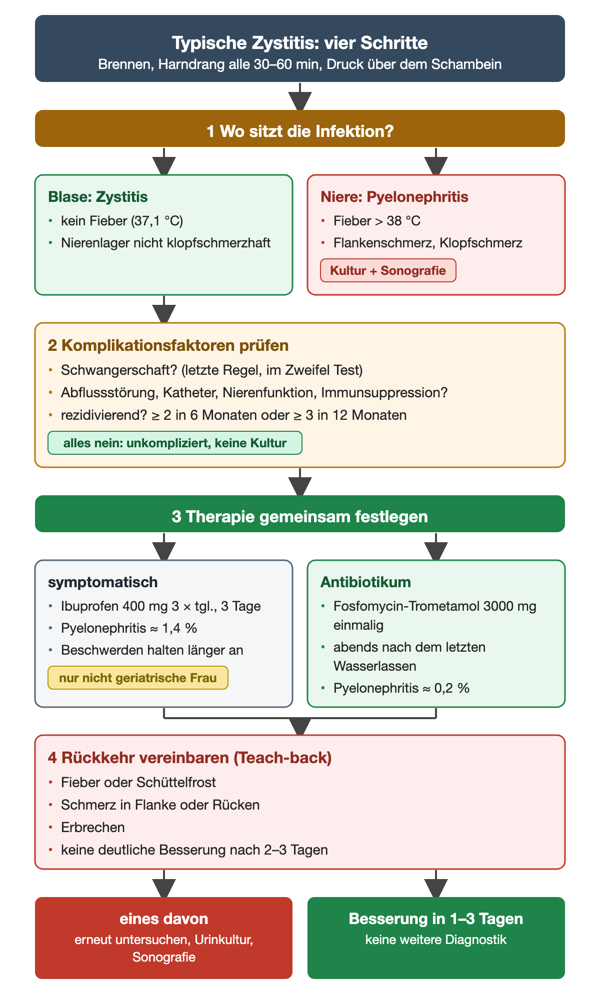 Vier Schritte der Zystitisbehandlung am Beispiel: Ort der Infektion (Blase oder Niere), Komplikationsfaktoren, gemeinsame Therapieentscheidung zwischen symptomatischer Behandlung und Fosfomycin, Rückkehrkriterien; unten zwei Ergebnisse