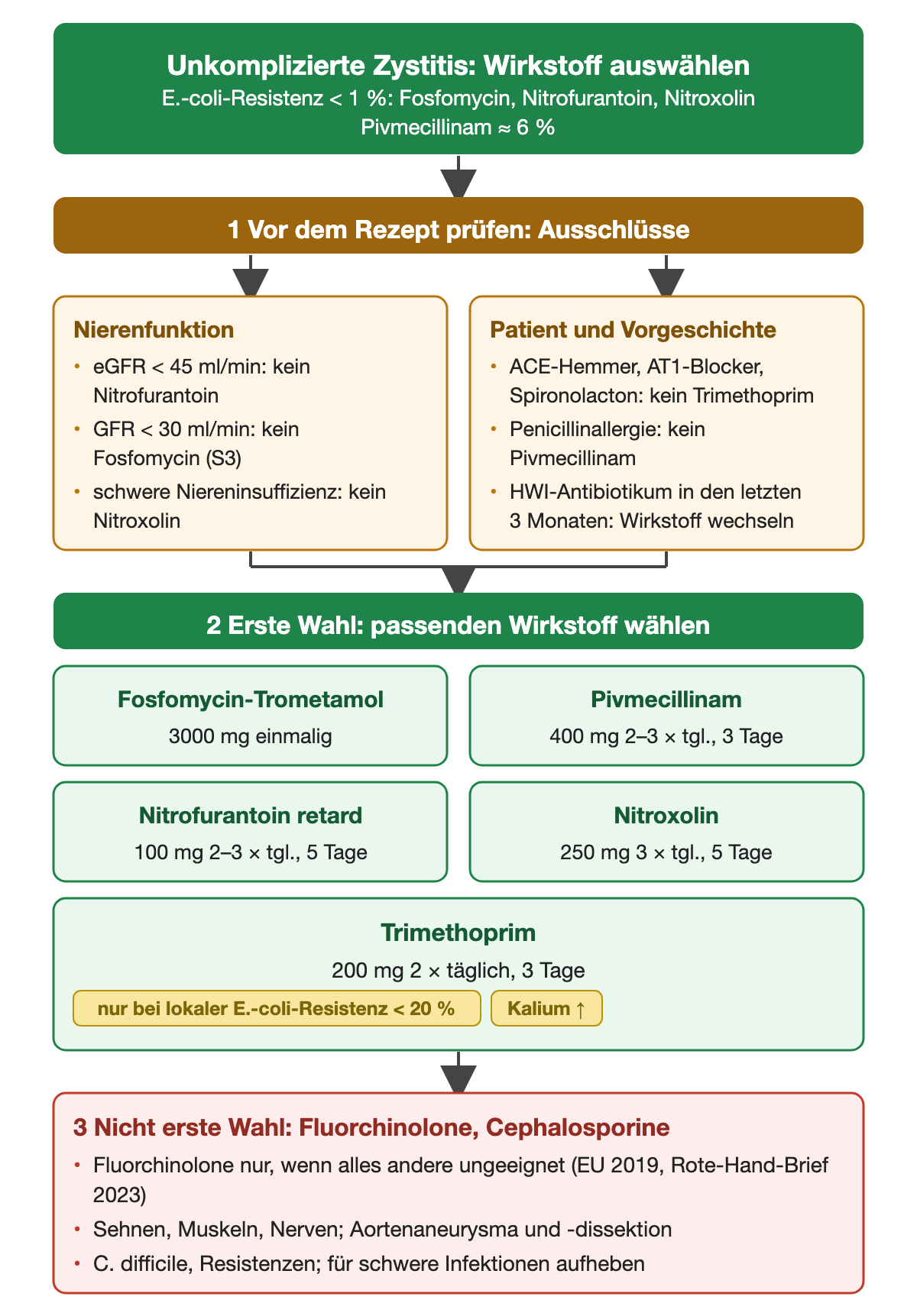 Auswahl des Antibiotikums bei unkomplizierter Zystitis: zuerst Ausschlüsse nach Nierenfunktion sowie Medikamenten, Allergie und Vorbehandlung, dann fünf Wirkstoffe der ersten Wahl mit Dosis, unten Fluorchinolone und Cephalosporine als nicht erste Wahl