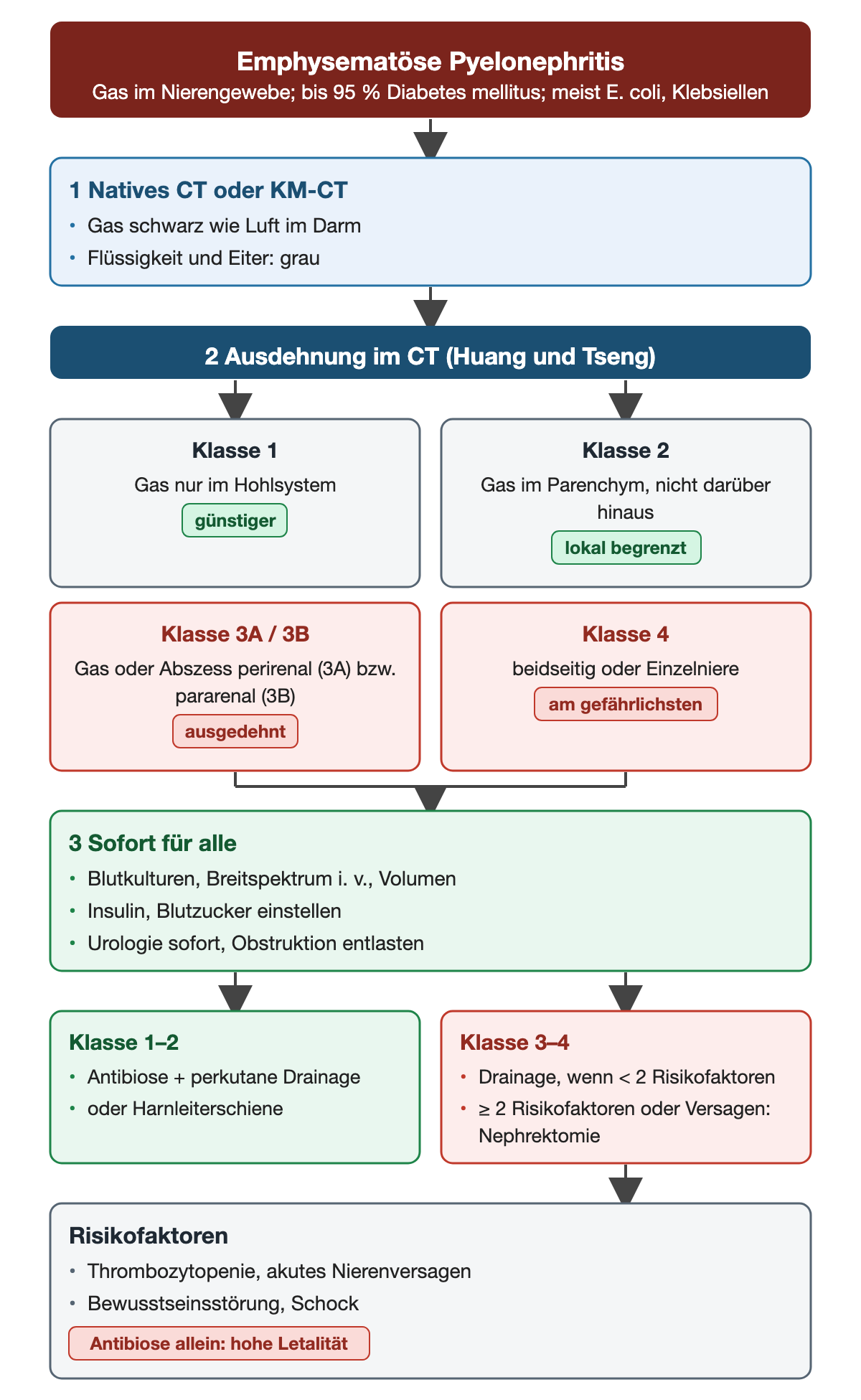 Emphysematöse Pyelonephritis: CT-Kriterien, Einteilung nach Huang und Tseng in Klasse 1 (Gas im Hohlsystem), 2 (Gas im Parenchym), 3A/3B (perirenal oder pararenal) und 4 (beidseitig oder Einzelniere), Sofortmaßnahmen und Therapie nach Klasse mit Risikofaktoren