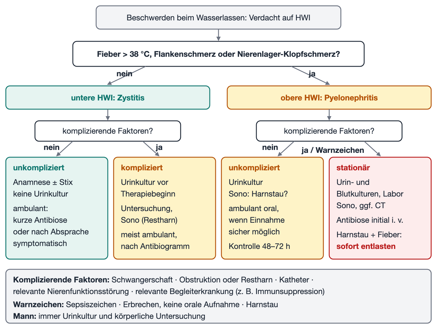 Entscheidungsbaum: Verdacht auf HWI, dann Frage nach Fieber oder Flankenschmerz; links Zystitis, rechts Pyelonephritis; jeweils Frage nach komplizierenden Faktoren mit vier Ergebniskästen zu Diagnostik und Behandlungsort; unten Legende