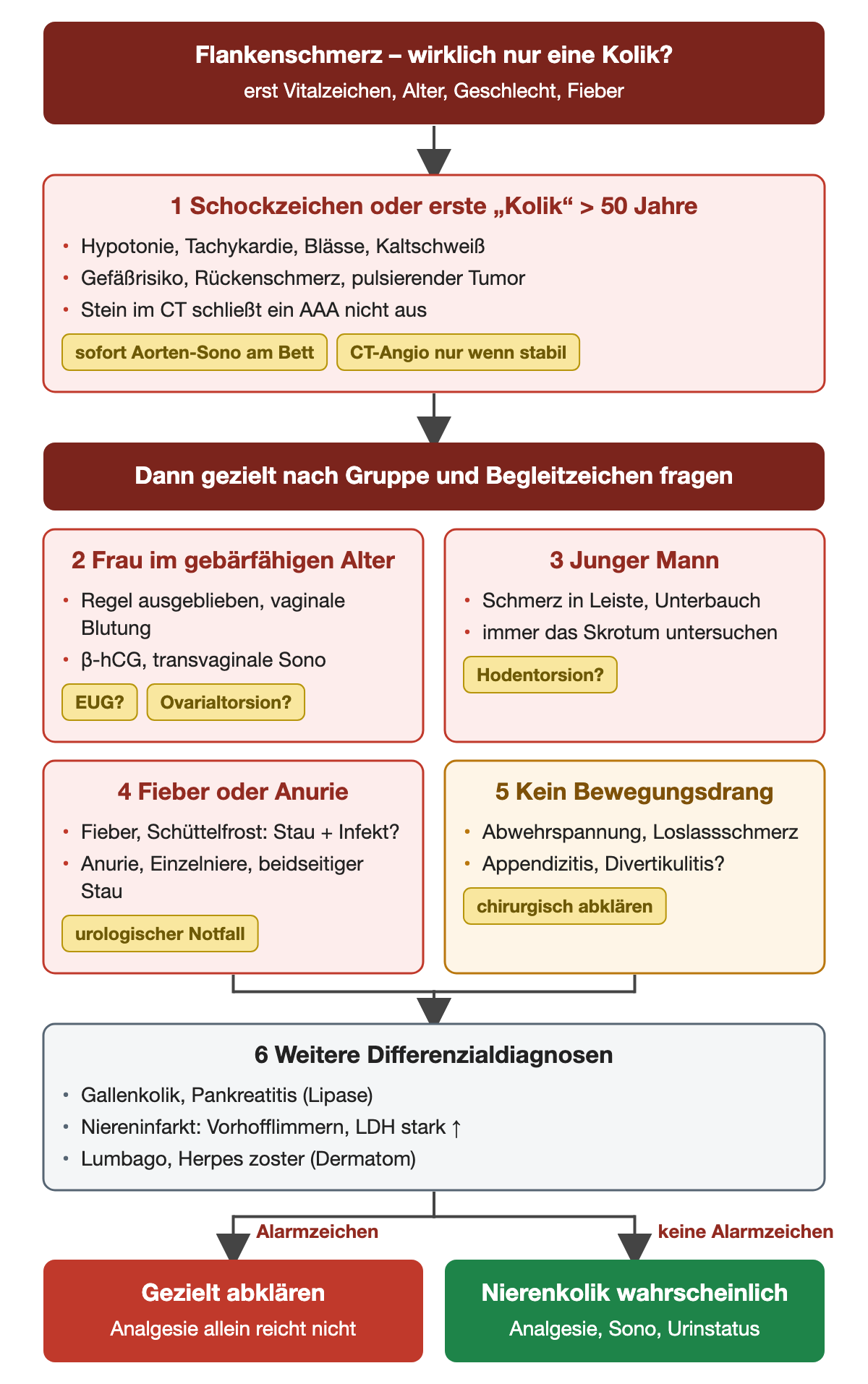 Prüfschema bei Flankenschmerz: zuerst Schockzeichen und Alter über 50 Jahre mit sofortiger Aorten-Sonografie, dann Frau im gebärfähigen Alter, junger Mann, Fieber oder Anurie und fehlender Bewegungsdrang; unten Alarmzeichen gegenüber wahrscheinlicher Nierenkolik
