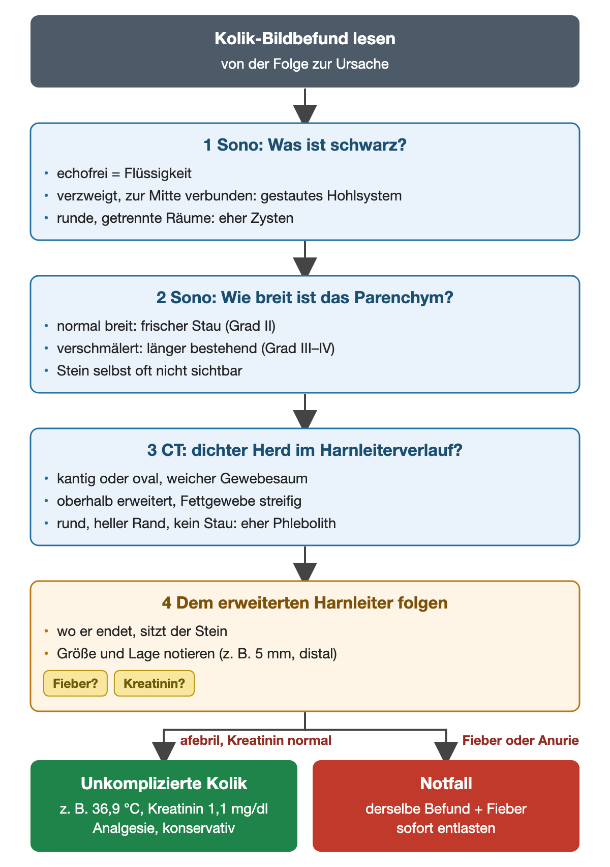 Vier nummerierte Schritte zum Lesen des Bildbefunds: Sonografie auf schwarze verzweigte Räume und Parenchymbreite prüfen, im CT den dichten Herd im Harnleiterverlauf suchen und dem erweiterten Harnleiter folgen; unten unkomplizierte Kolik gegenüber Notfall bei Fieber oder Anurie