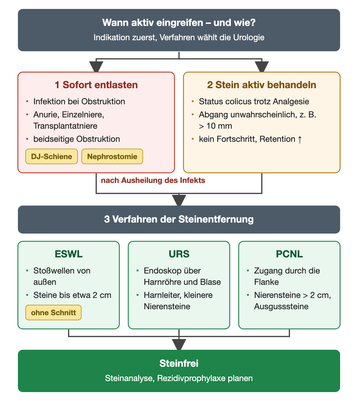 Schema aktive Therapie: links Indikationen zur sofortigen Entlastung mit DJ-Schiene oder Nephrostomie, rechts Indikationen zur aktiven Steintherapie; darunter die Verfahren ESWL, URS und PCNL mit typischer Steingröße; unten steinfrei mit Steinanalyse