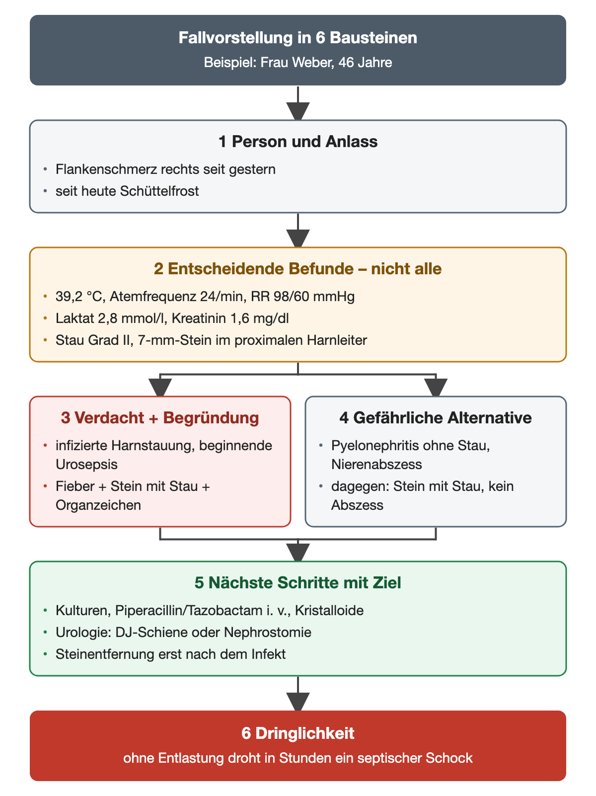 Sechs nummerierte Bausteine der Fallvorstellung am Beispiel von Frau Weber: Person und Anlass, entscheidende Befunde, Verdachtsdiagnose mit Begründung, gefährliche Alternative, nächste Schritte mit Ziel und Dringlichkeit