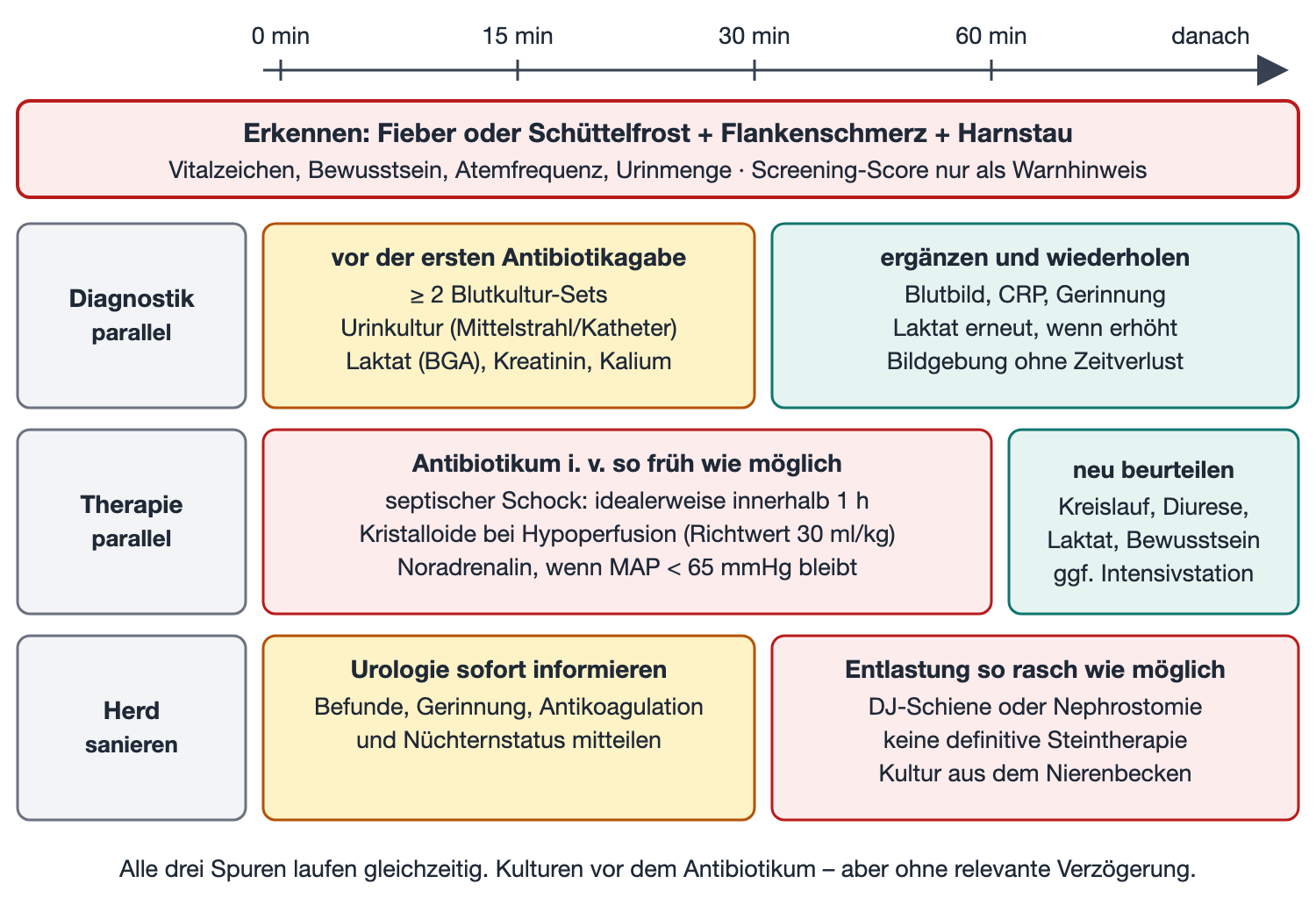 Zeitleiste der ersten Stunde mit drei parallelen Spuren: Diagnostik, Therapie und Herdsanierung