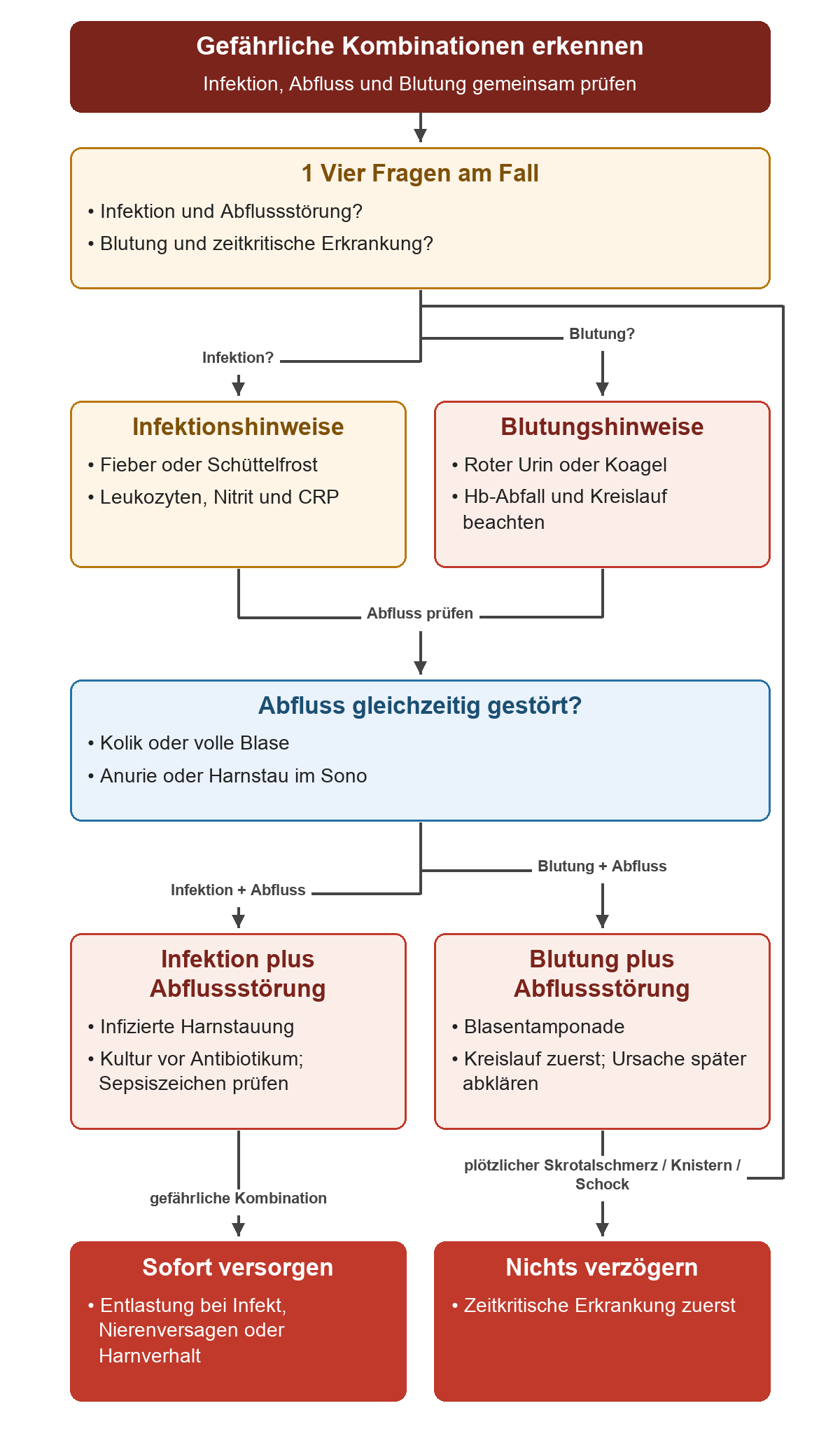 Die vier Fallfragen führen über Infektions- oder Blutungshinweise zur Prüfung einer gleichzeitigen Abflussstörung; beide Kombinationen verlangen sofortige Versorgung, ebenso Skrotalschmerz, Knistern oder Schock.