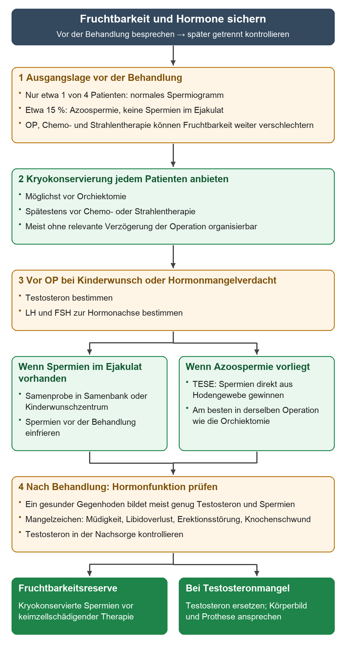 Vor der ersten Behandlung wird die Kryokonservierung angeboten. Bei vorhandenen Spermien folgt die Samenprobe, bei Azoospermie die TESE möglichst während der Orchiektomie. Hormonwerte vor der Operation bei Kinderwunsch oder Mangelverdacht und Testosteron in der Nachsorge ergänzen die Fruchtbarkeitsreserve.