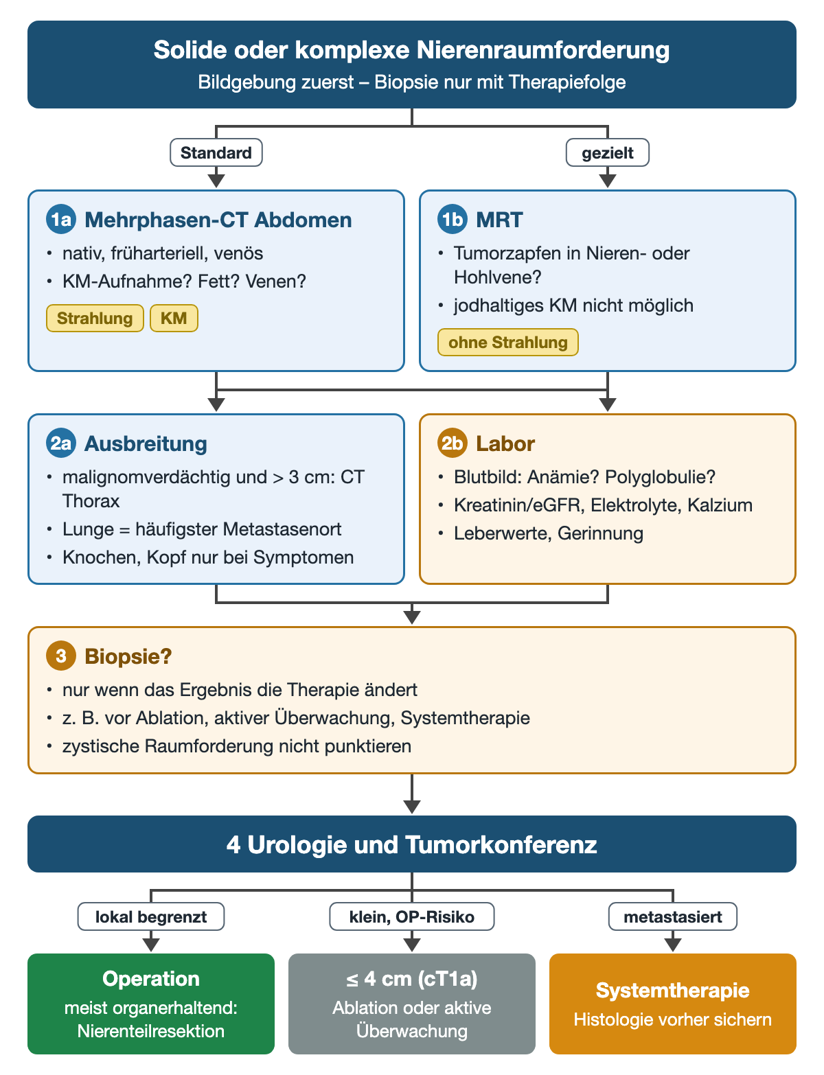 Ablauf bei solider oder komplexer Nierenraumforderung: Mehrphasen-CT oder gezielt MRT, dann Ausbreitung mit CT Thorax ab 3 cm und Labor, dann die Frage nach einer Biopsie, schließlich Urologie und Tumorkonferenz mit drei Wegen: Operation, Ablation oder Überwachung bis 4 cm, Systemtherapie