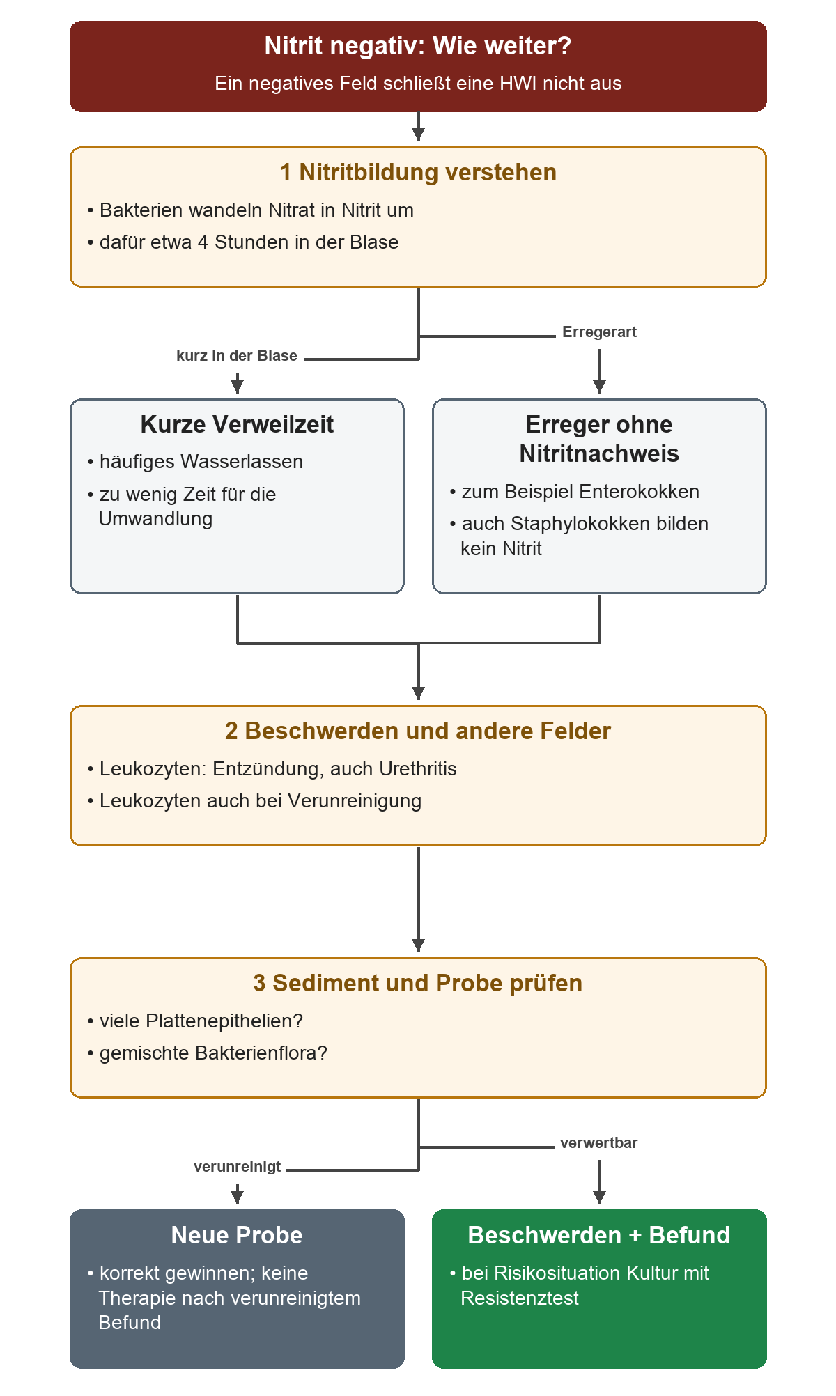 Ein negatives Nitritfeld wird über Verweilzeit und Erreger erklärt; Beschwerden, Leukozyten und Sediment führen zur neuen Probe oder zur weiteren Bewertung mit gegebenenfalls Kultur.