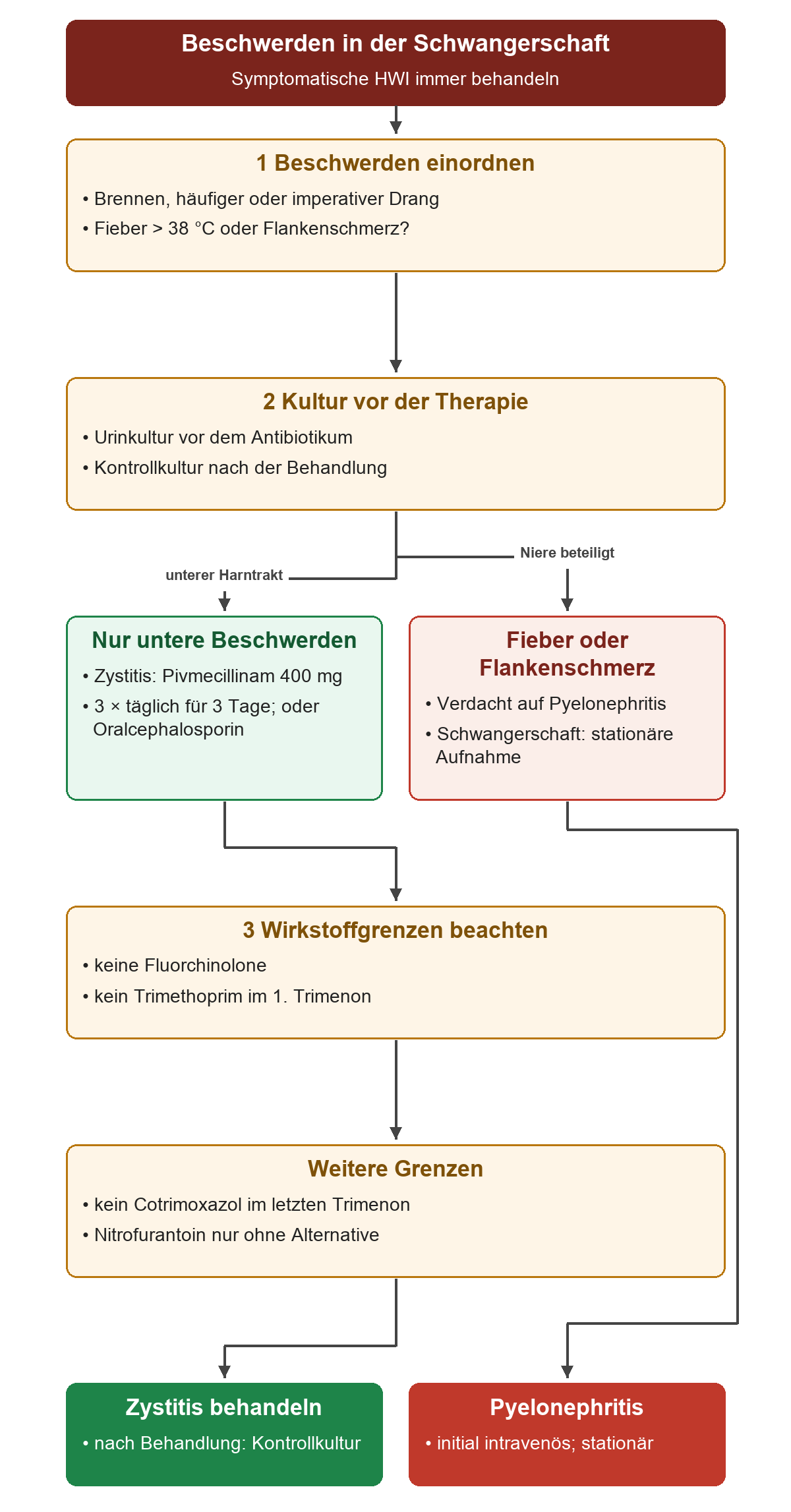 Bei Beschwerden in der Schwangerschaft folgen Urinkultur und die Trennung zwischen Zystitis und Pyelonephritis; danach werden Therapie und trimesterabhängige Wirkstoffgrenzen gezeigt.