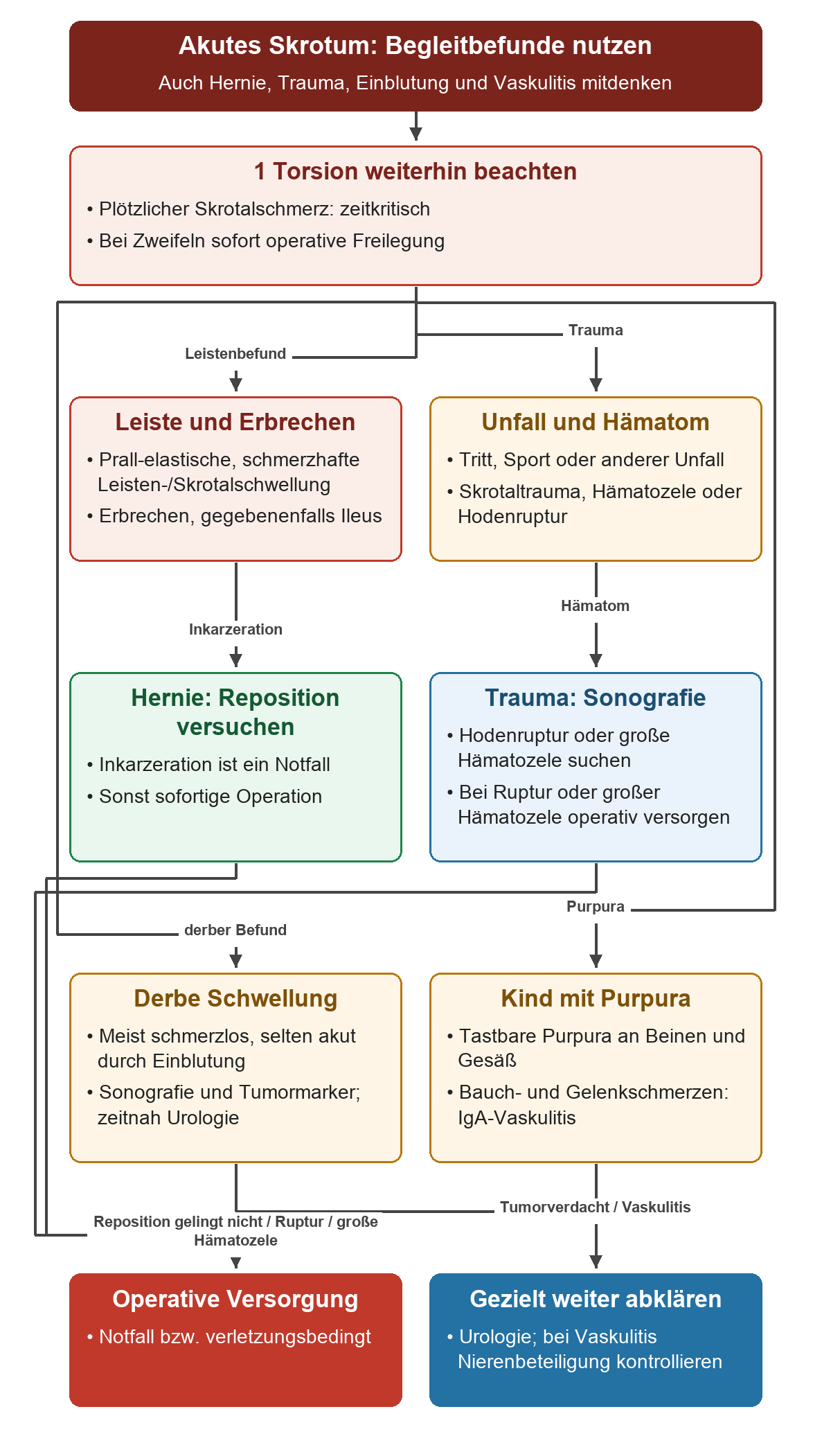 Nach Beachtung der Torsion lenken Leistenbefund und Erbrechen zur Hernienversorgung, Trauma zur Sonografie, derbe Schwellung zum Tumorweg und Purpura zur Prüfung einer IgA-Vaskulitis mit Nierenbeteiligung.