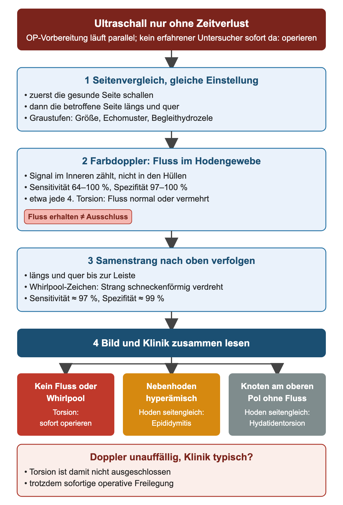 Ultraschallablauf: Seitenvergleich bei gleicher Einstellung, Farbdoppler im Hodengewebe mit Sensitivität 64–100 % und Spezifität 97–100 %, Samenstrang mit Whirlpool-Zeichen mit Sensitivität etwa 97 % und Spezifität etwa 99 %; unten drei Muster: kein Fluss oder Whirlpool bedeutet Torsion, hyperämischer Nebenhoden Epididymitis, Knoten am oberen Pol ohne Fluss Hydatidentorsion