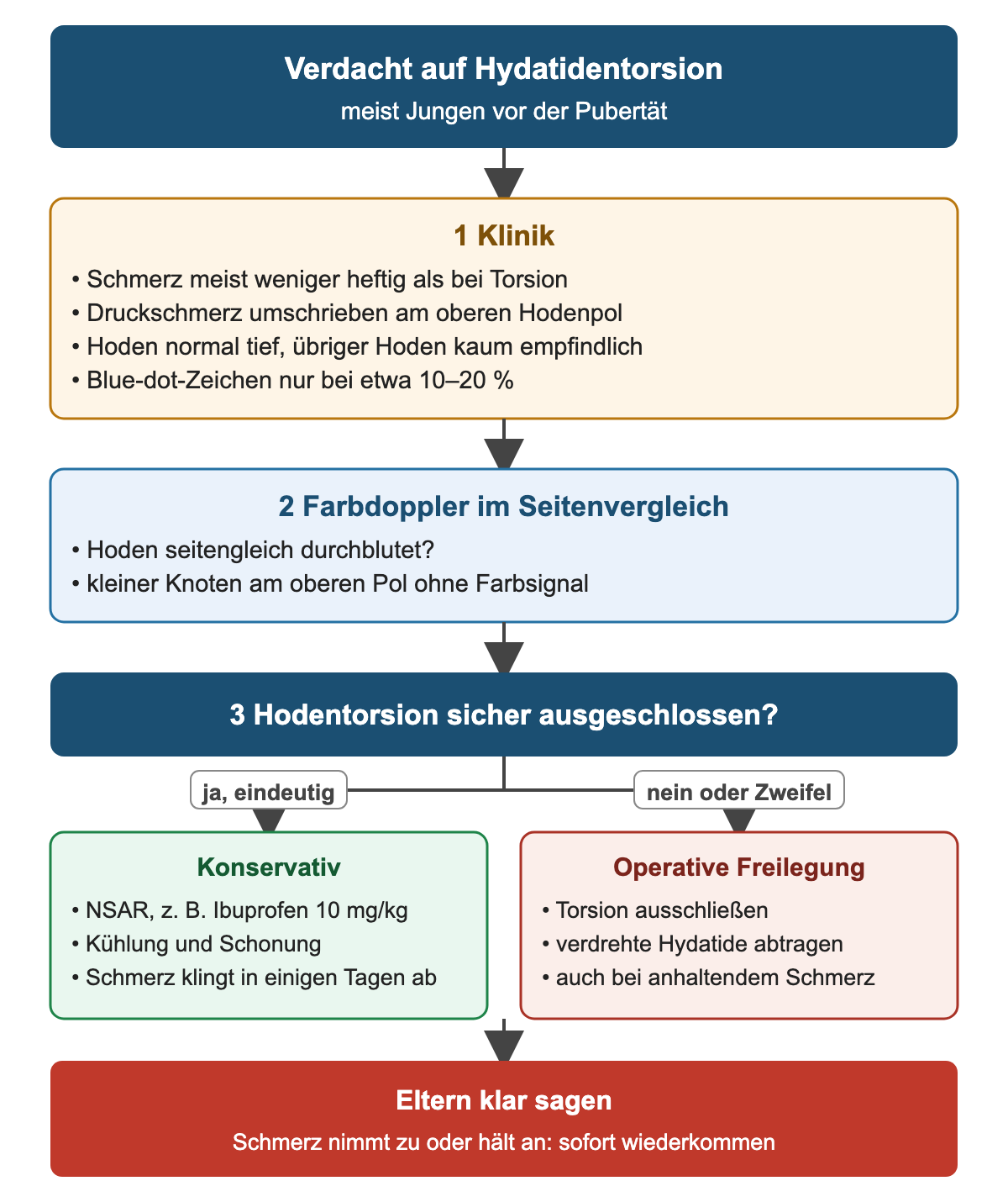 Ablauf bei Verdacht auf Hydatidentorsion: Klinik mit umschriebenem Druckschmerz am oberen Pol und Blue-dot-Zeichen bei nur etwa 10–20 %, Farbdoppler mit seitengleich durchblutetem Hoden und Knoten ohne Signal; bei sicher ausgeschlossener Torsion konservativ mit NSAR, Kühlung und Schonung, bei Zweifel oder anhaltendem Schmerz operative Freilegung